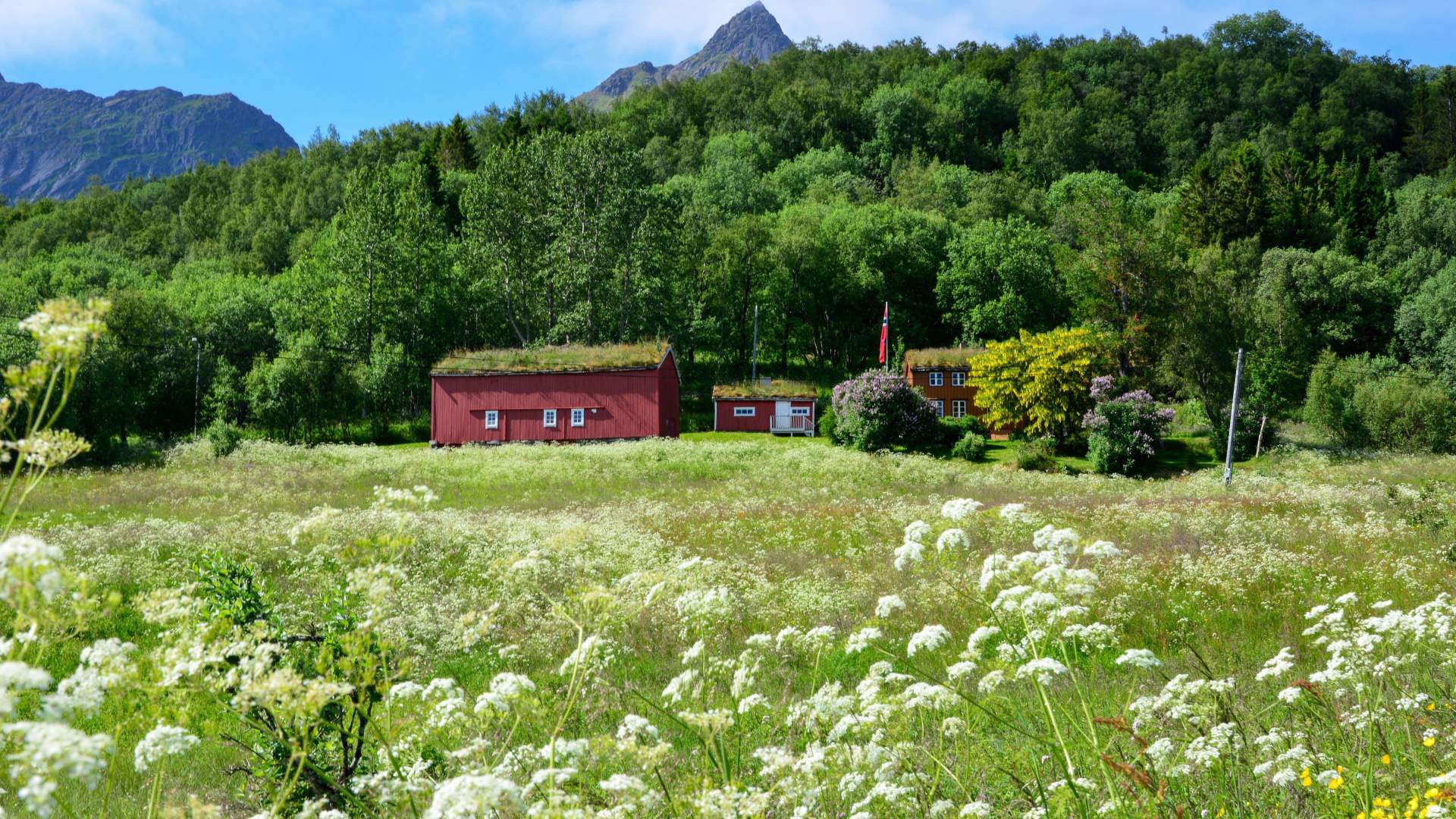 Barndomshjemmet i Hamsun