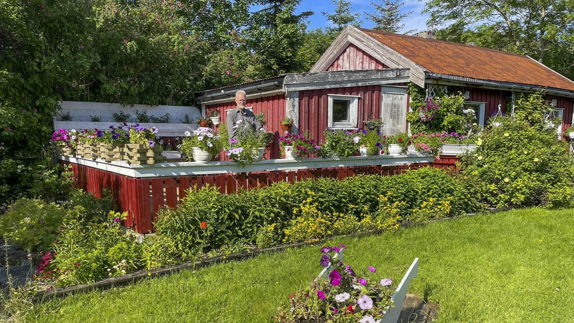 Lyngvågen Café 