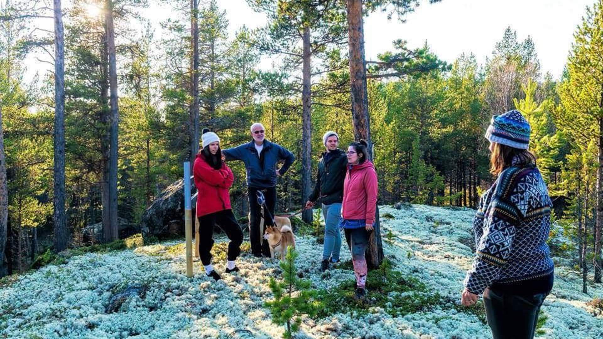 Sjodalen Hyttetun - Sagaskogen