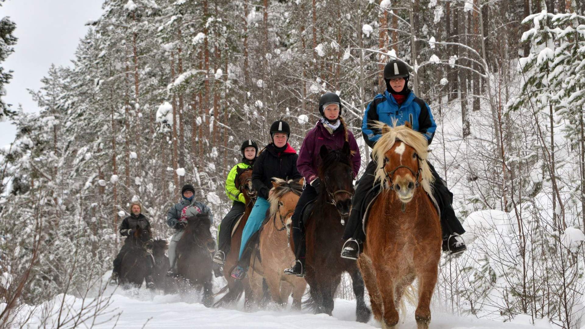 Øien Øvre Hesteaktiviteter - Skogstur