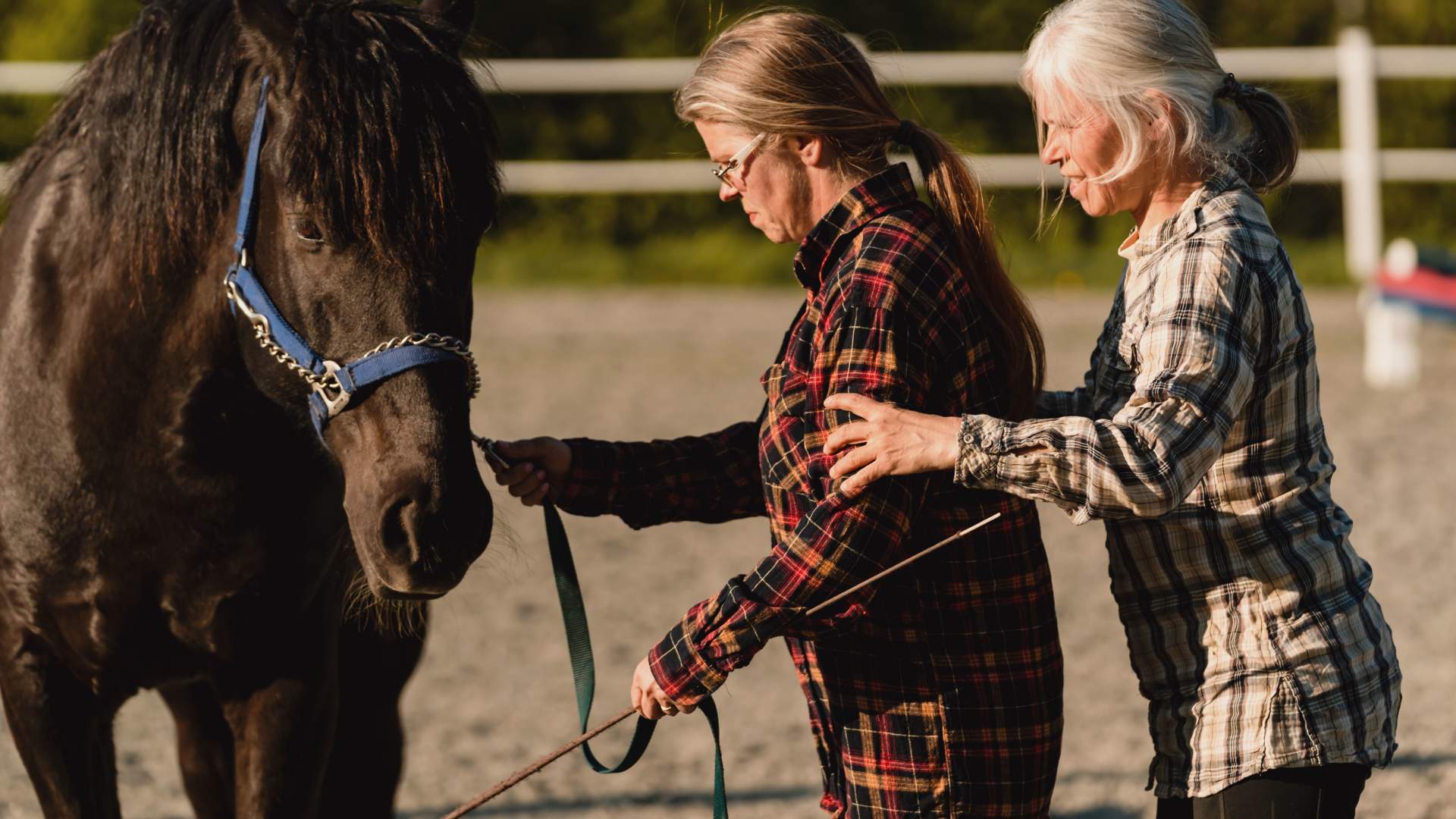 Øien Øvre Hesteaktiviteter - Ridekurs