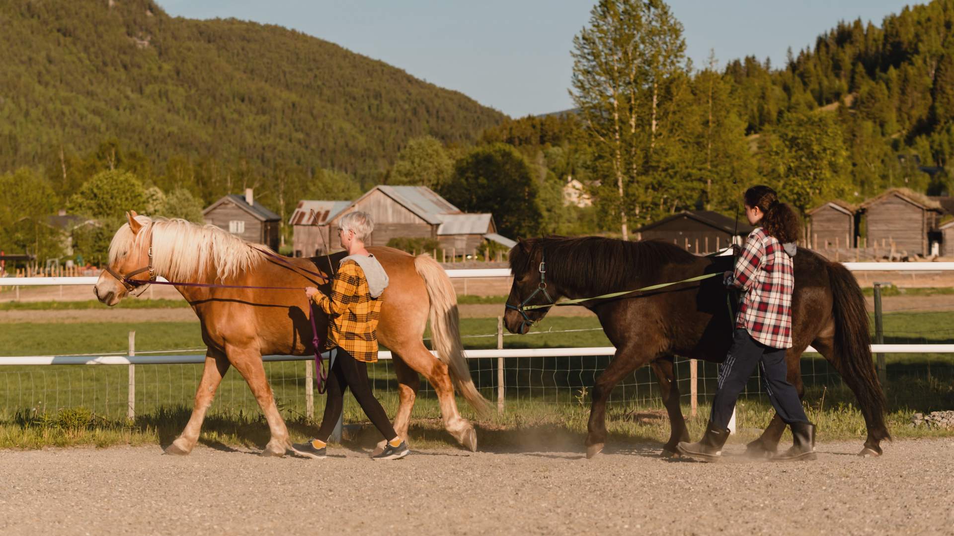 Øien Øvre Hesteaktiviteter - Ridekurs