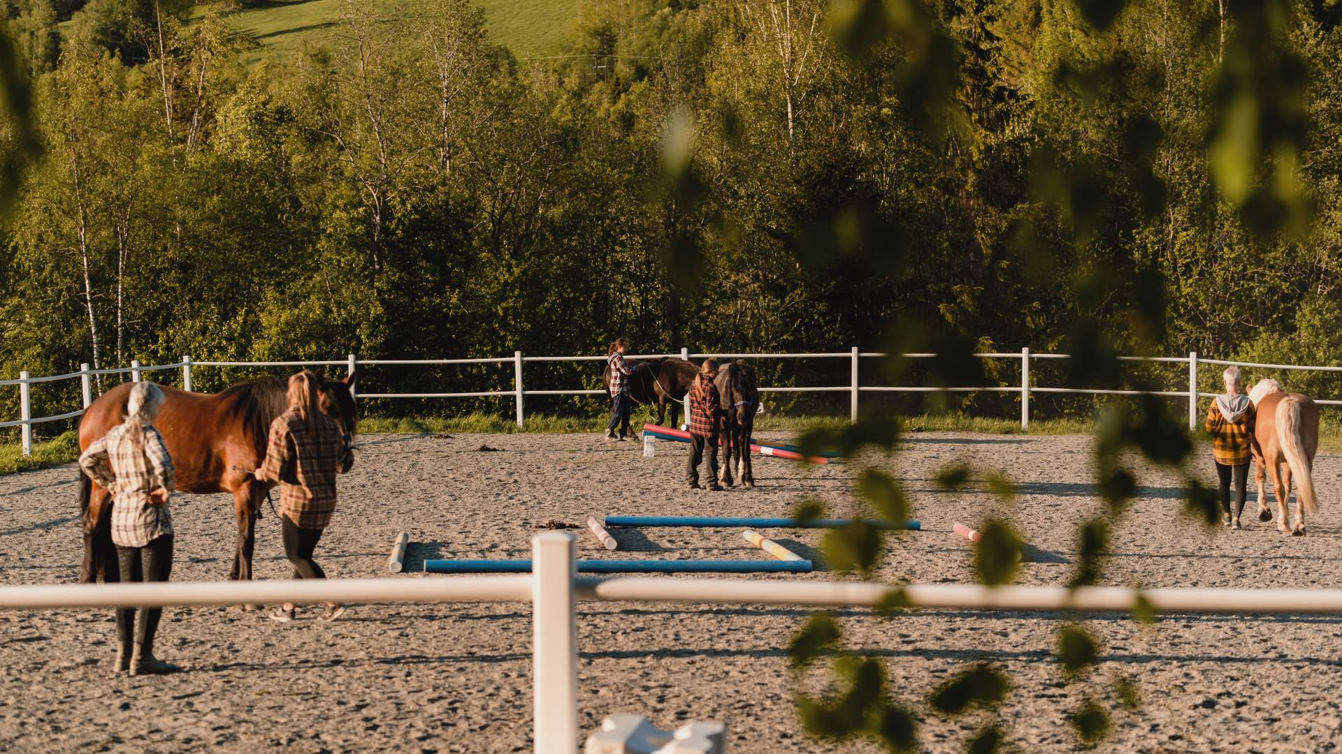 Øien Øvre Hesteaktiviteter - Ridekurs