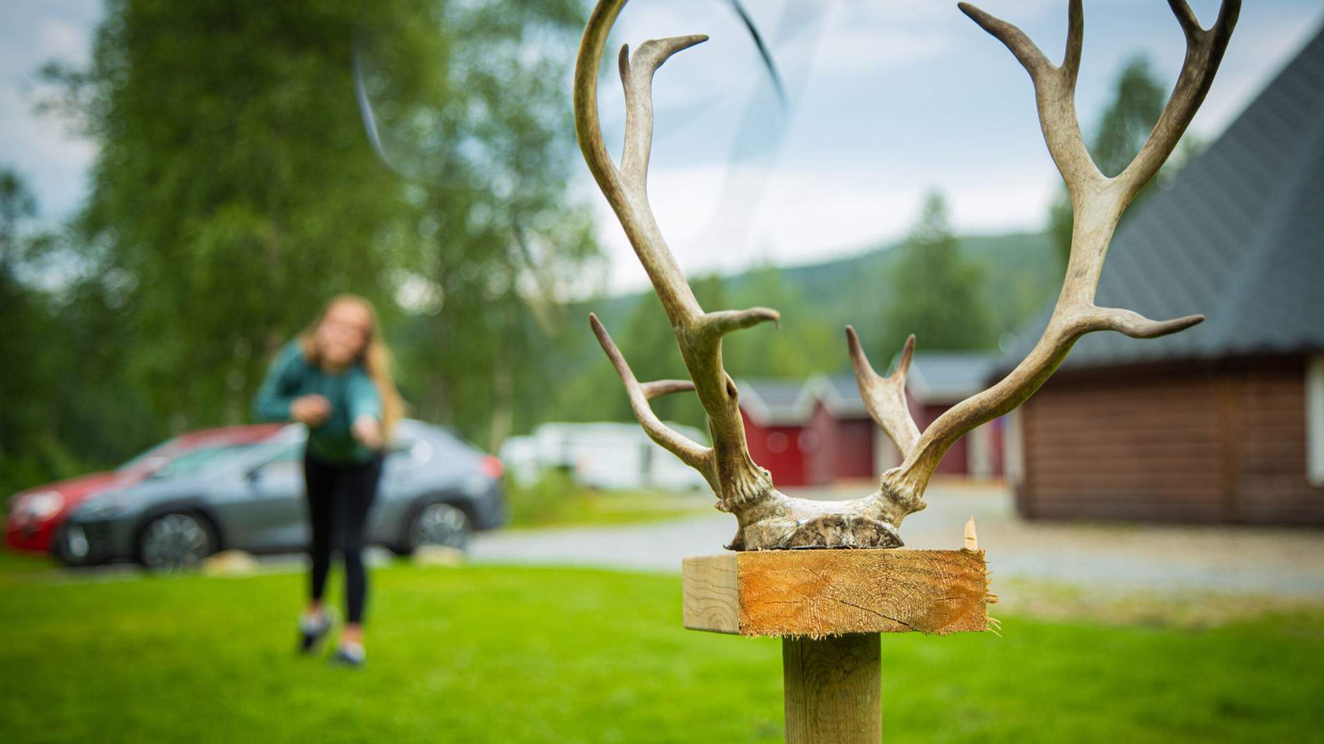 The Sami Way