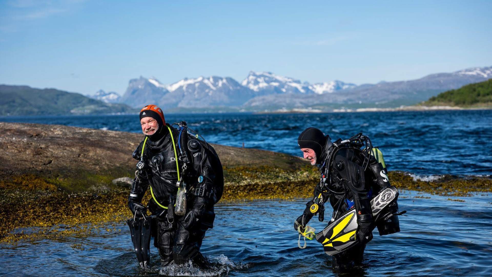 Dykking i Saltstraumen