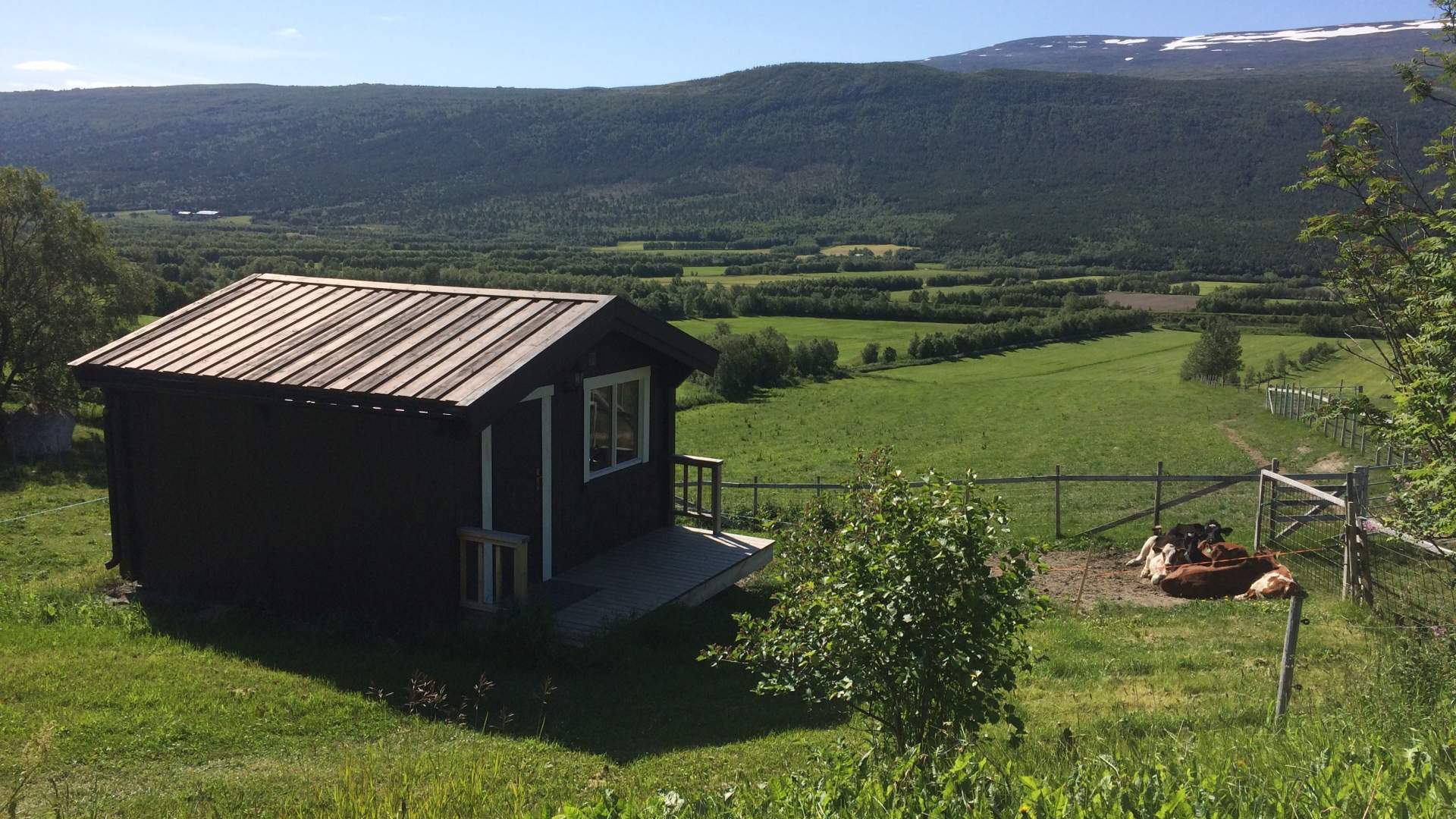 Tynnøl Backpackerslodge