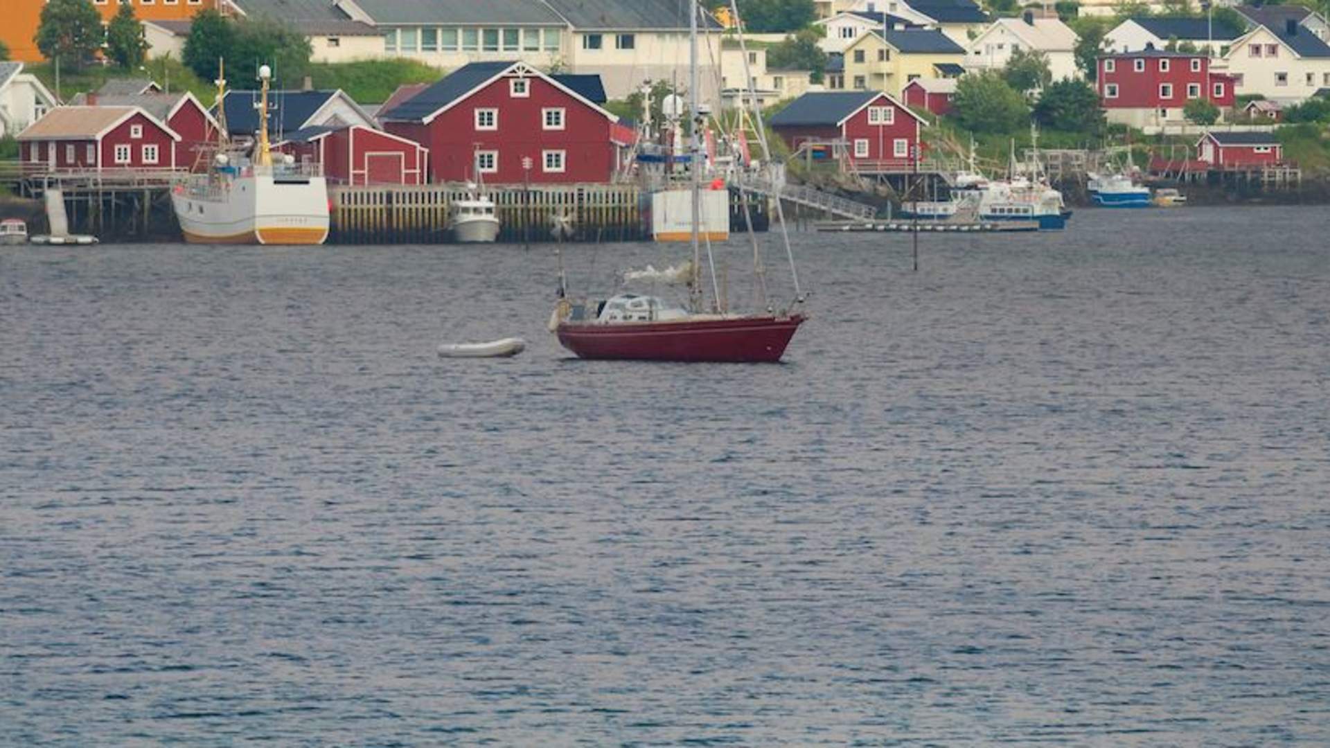3-hour morning or evening guided kayak tour summer