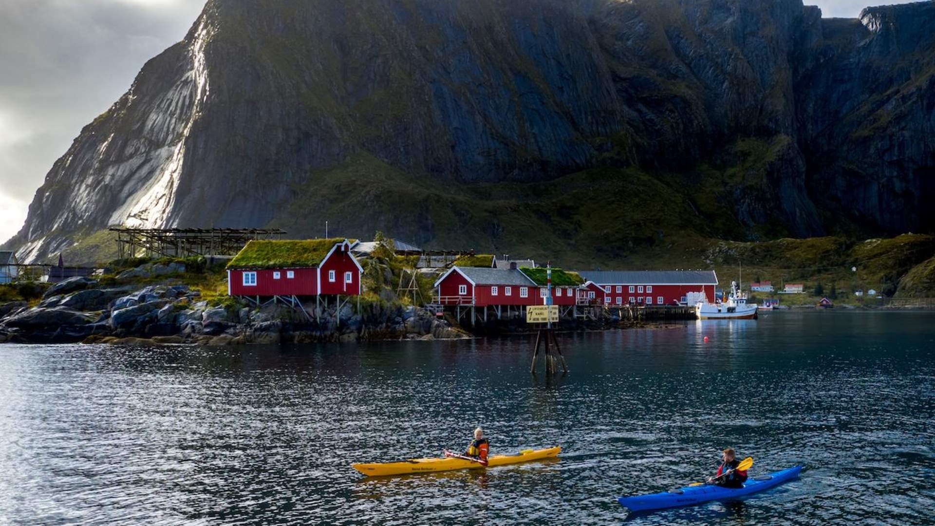 3-hour morning or evening guided kayak tour summer