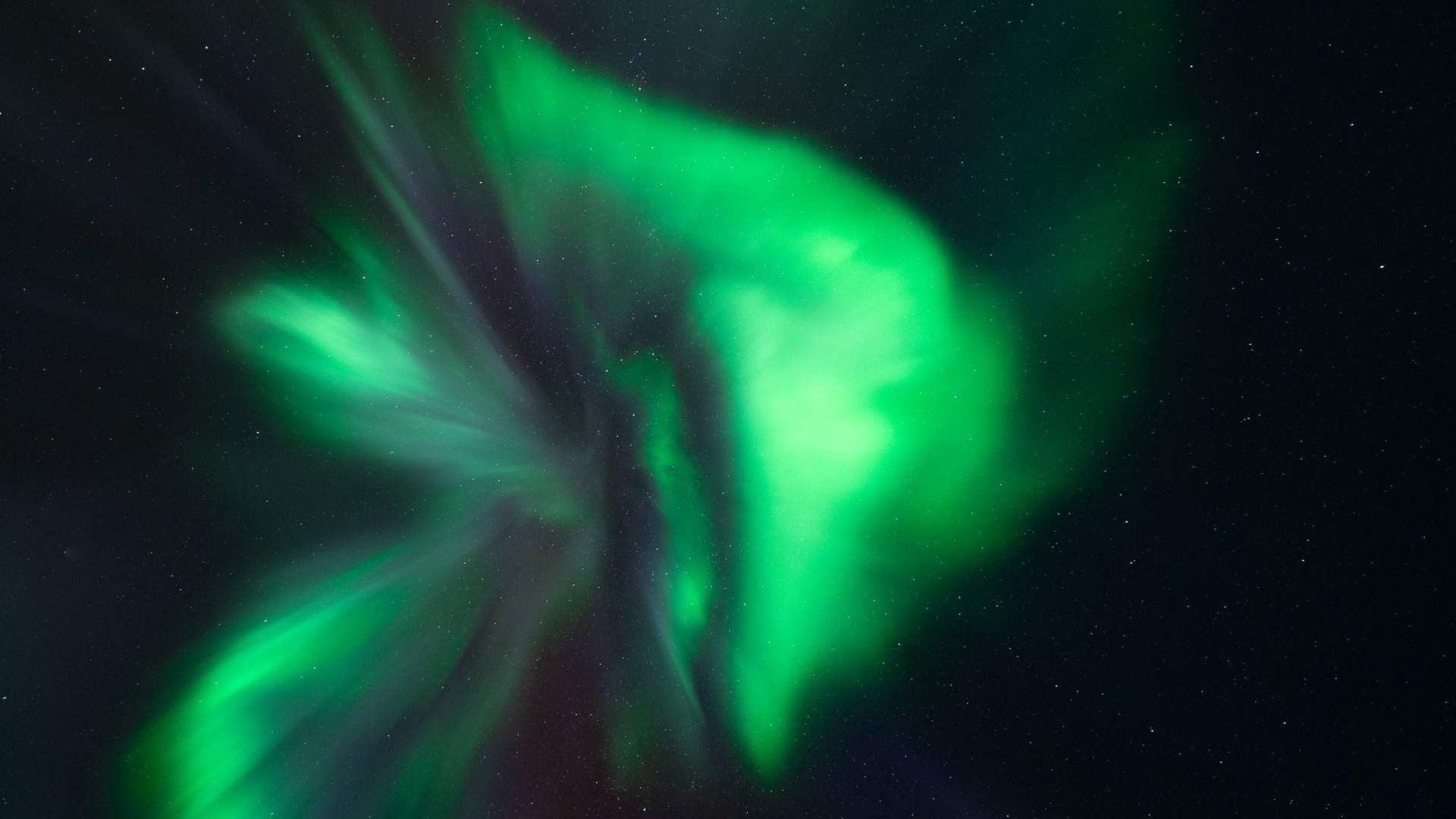 Northern Lights Photography tour - Reine Rorbuer