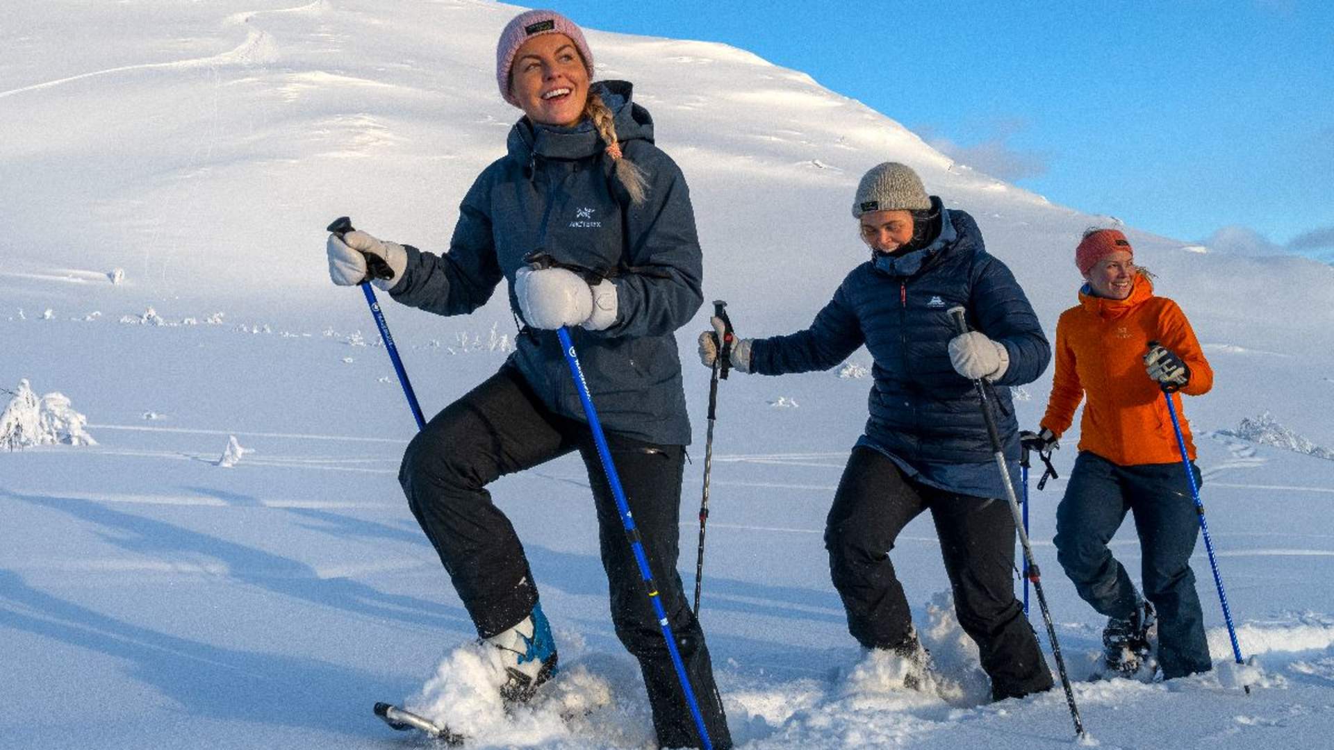 Trugetur i vinterlandskap