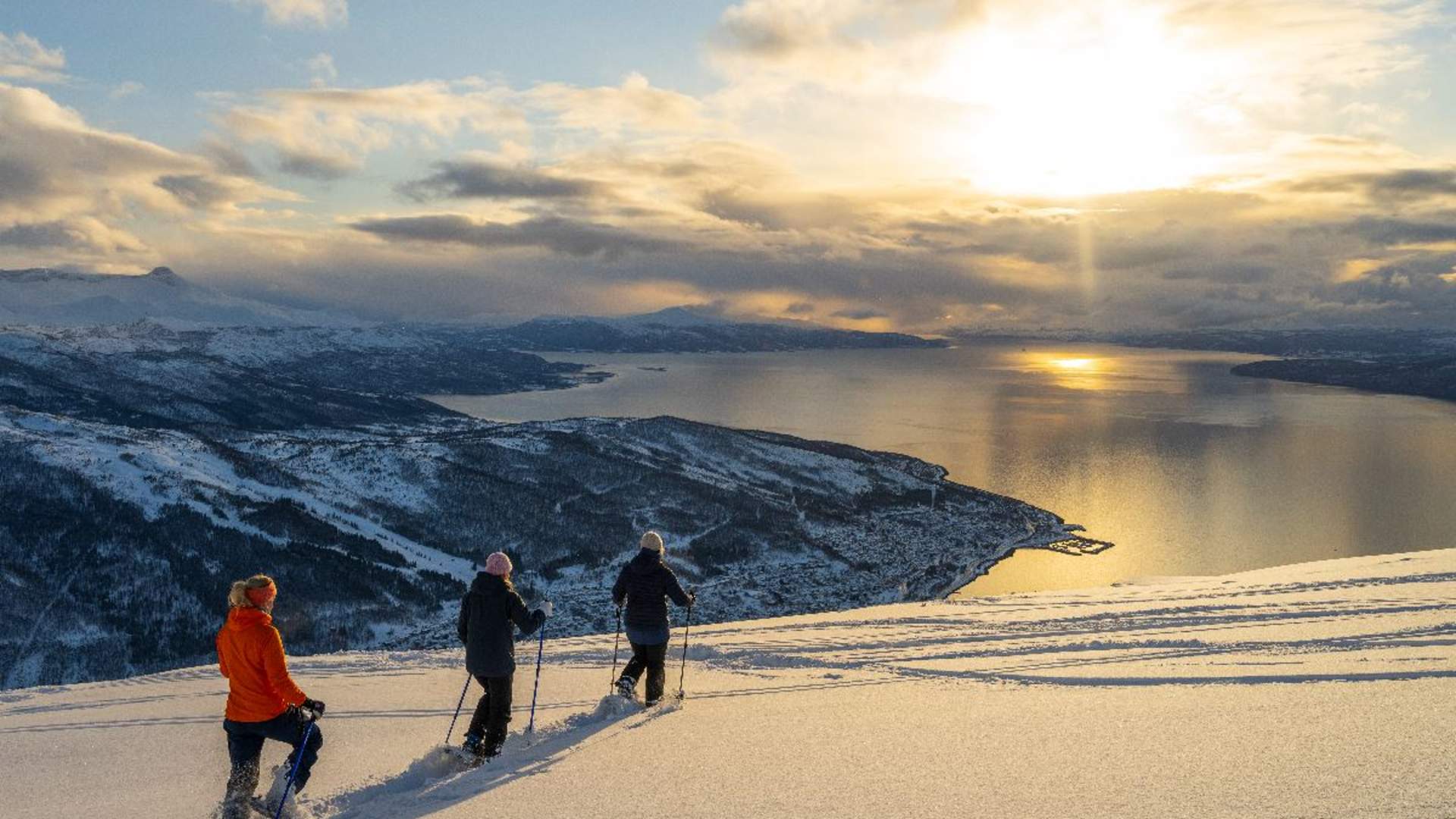 Trugetur i vinterlandskap