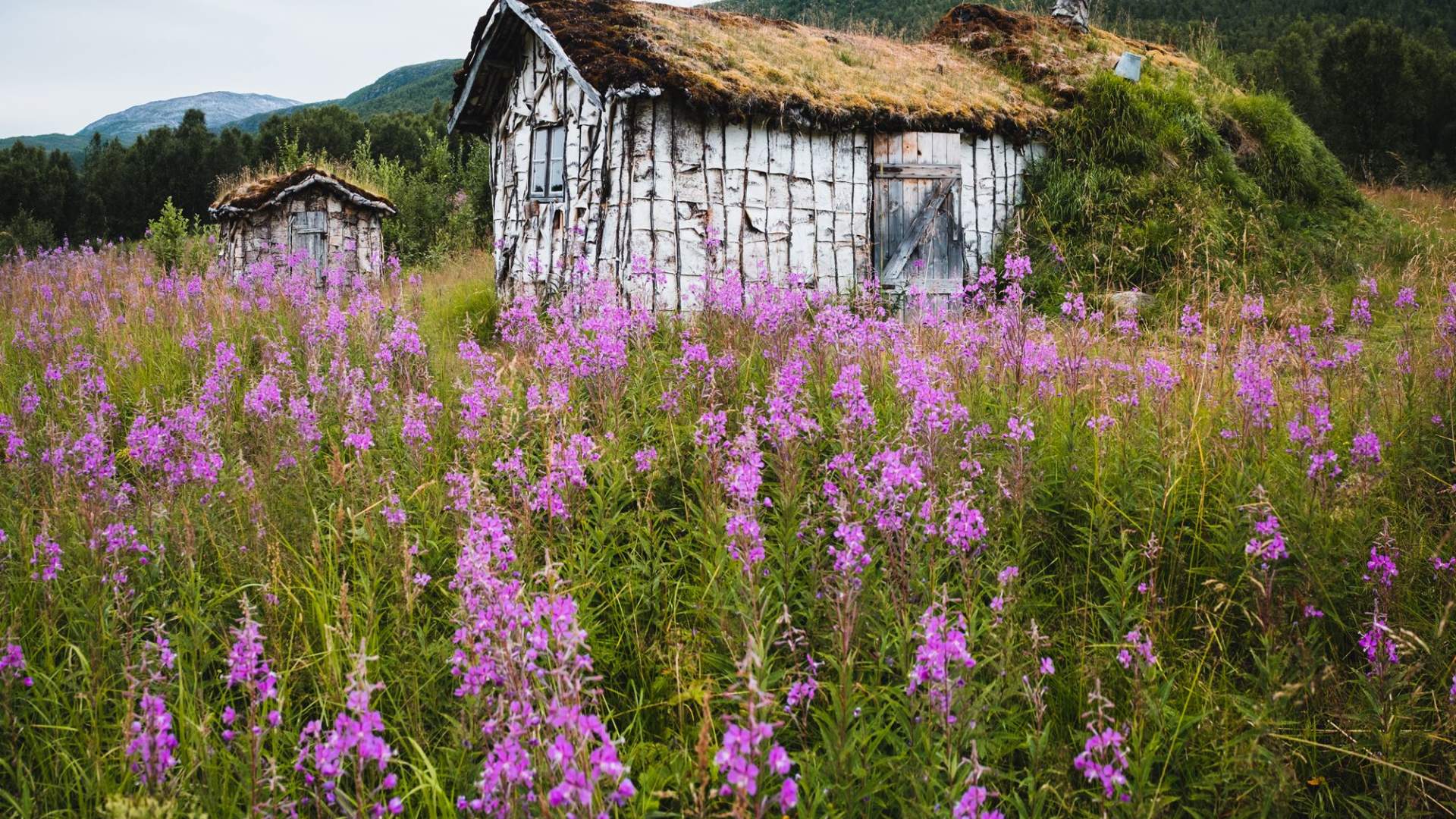 Kaperdalen Sami museum