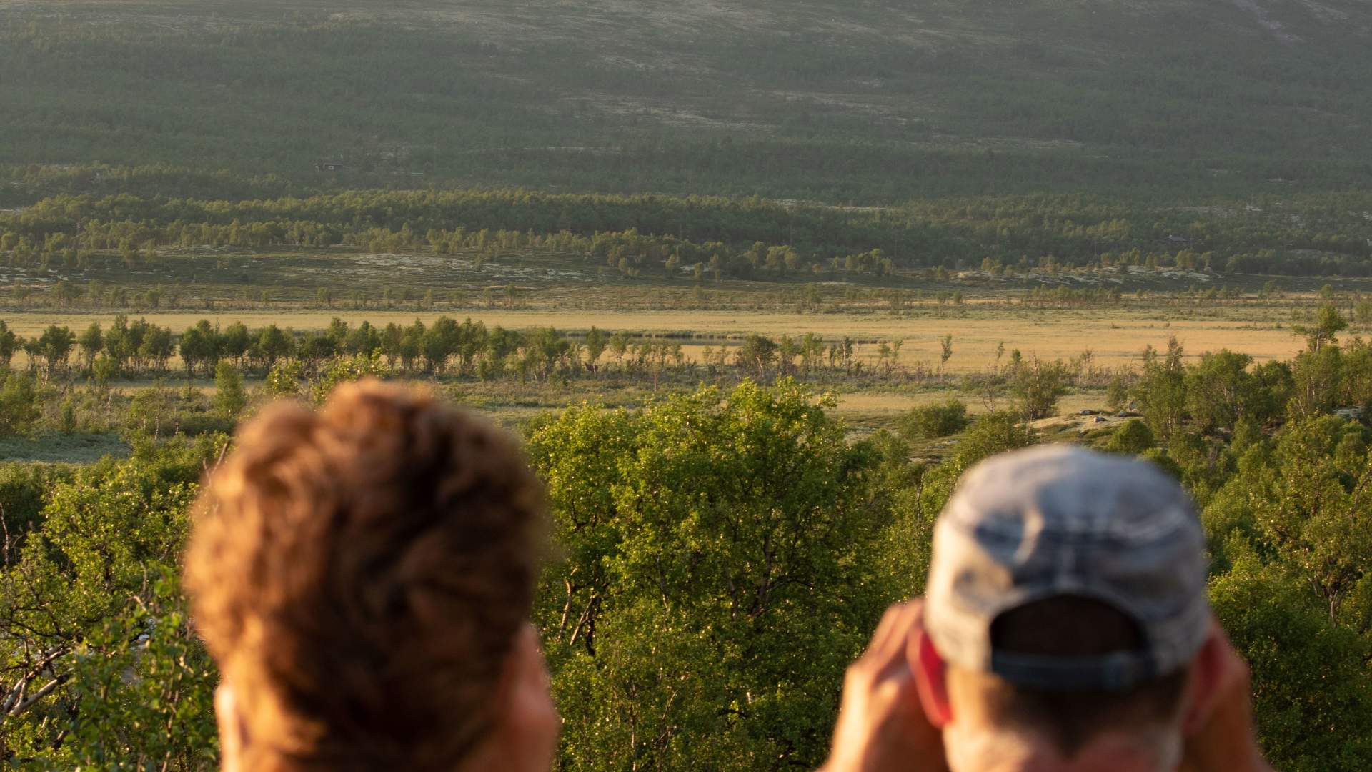 Moose safari with Dovre og Lesja Aktiv