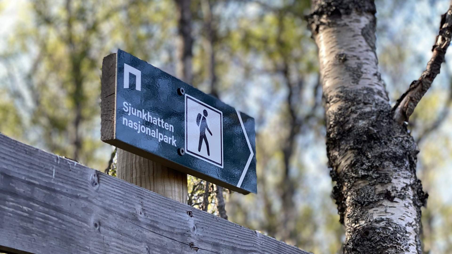 Sjunkhatten - Barnas nasjonalpark
