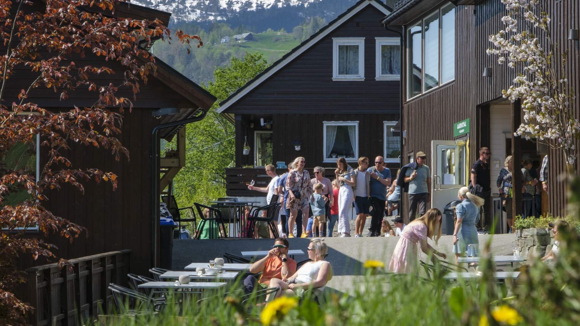 Guided tour and tasting at the Fruit and Cider Route, Ulvik