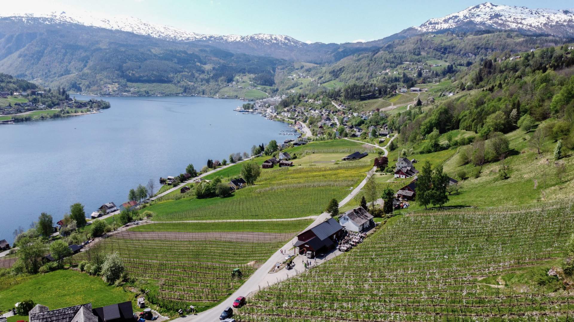 Guided tour and tasting at the Fruit and Cider Route, Ulvik