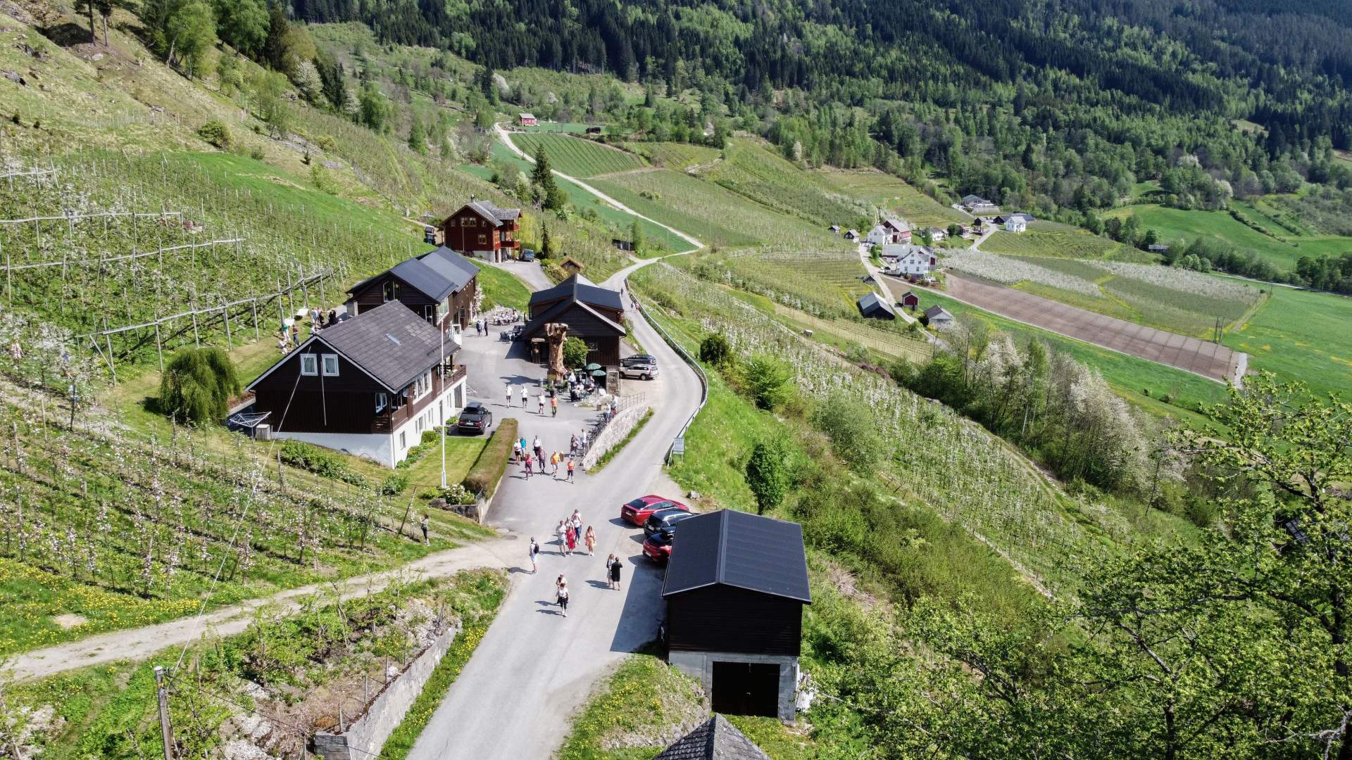 Guided tour and tasting at the Fruit and Cider Route, Ulvik