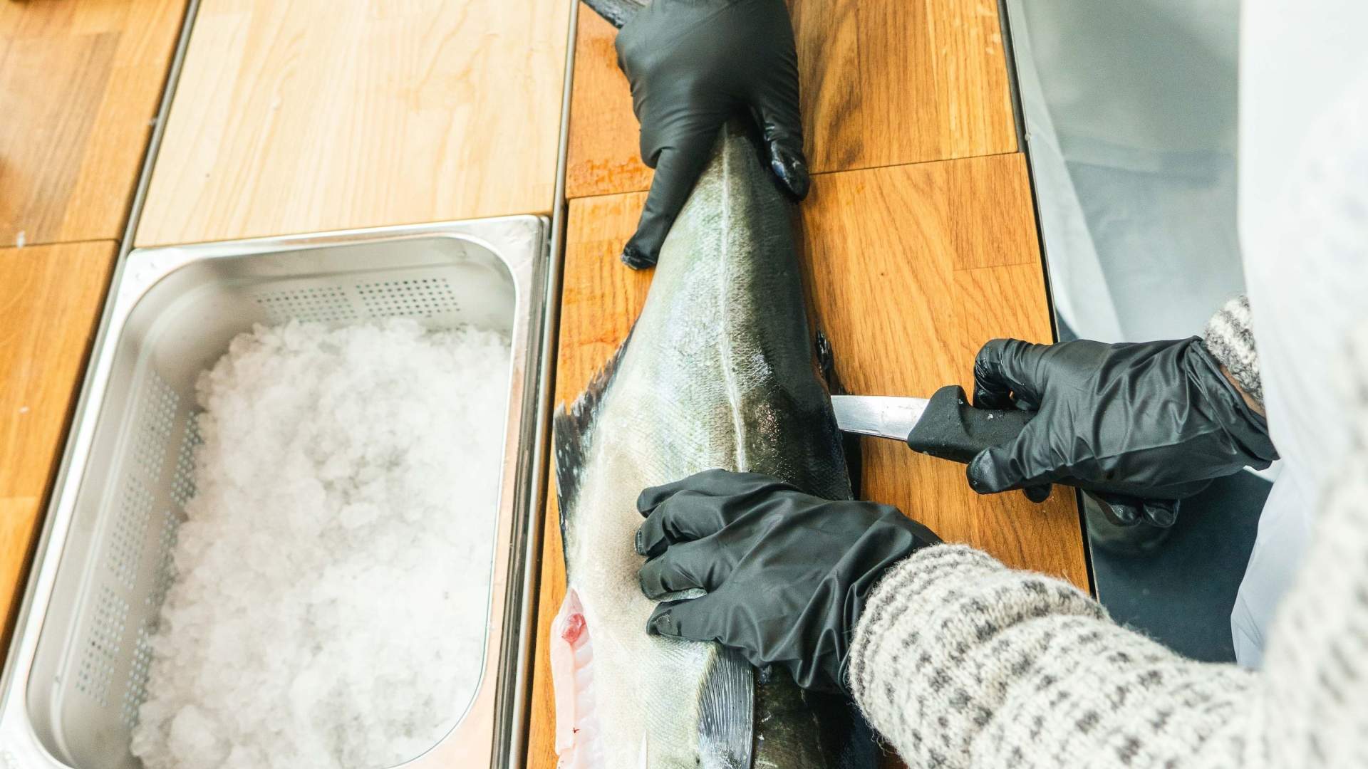 Catch & Dine - Fisketur med 3-retters middag
