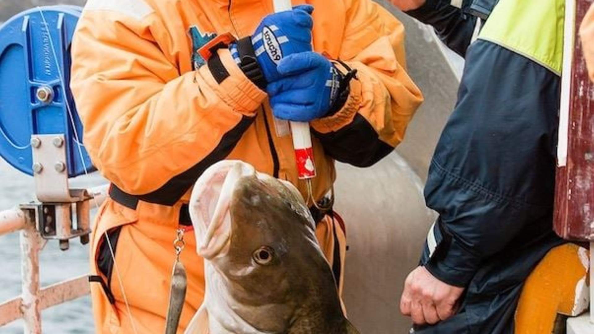 Catch & Dine - Fisketur med 3-retters middag