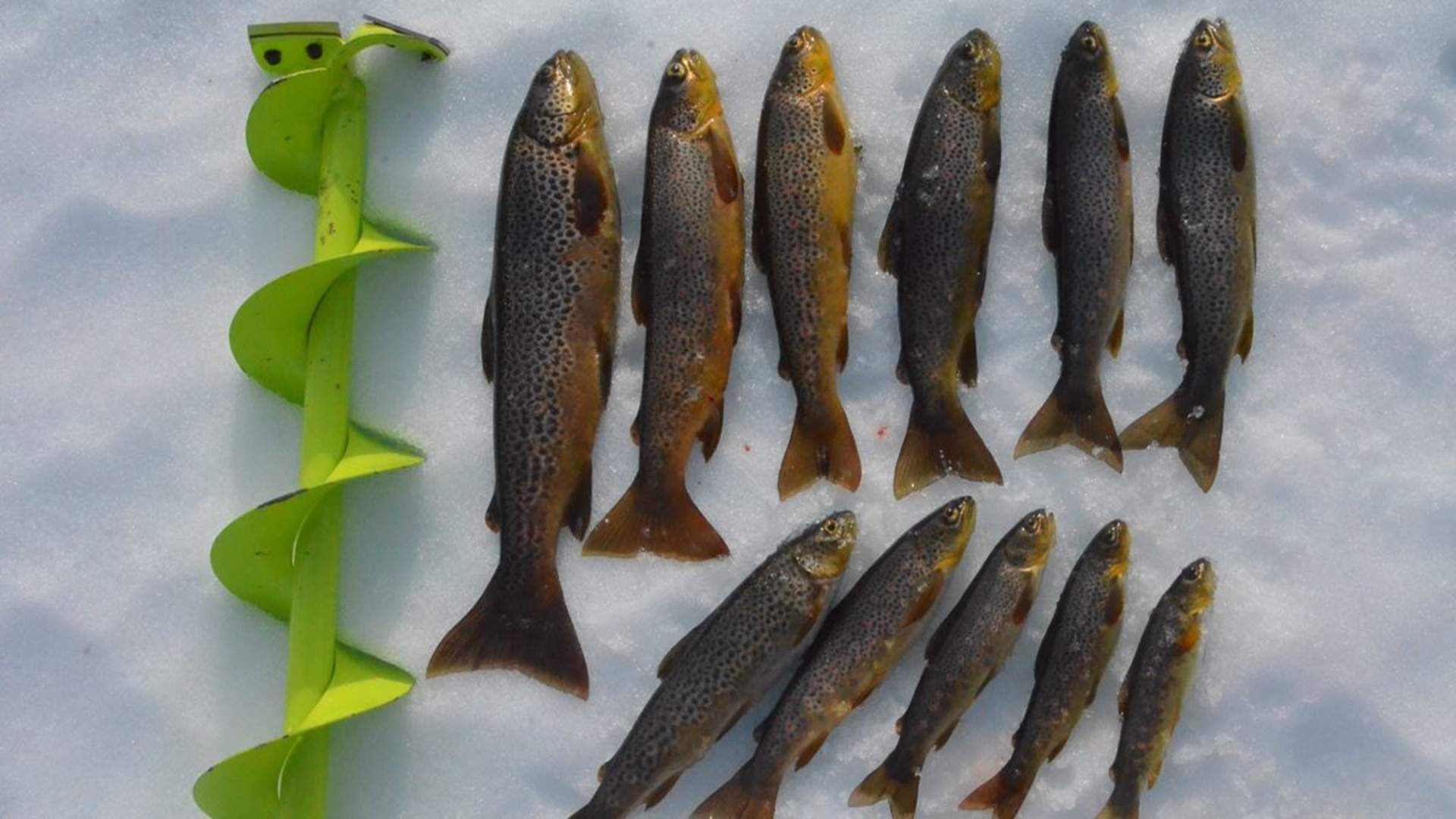 Ice Fishing and Snowshoeing