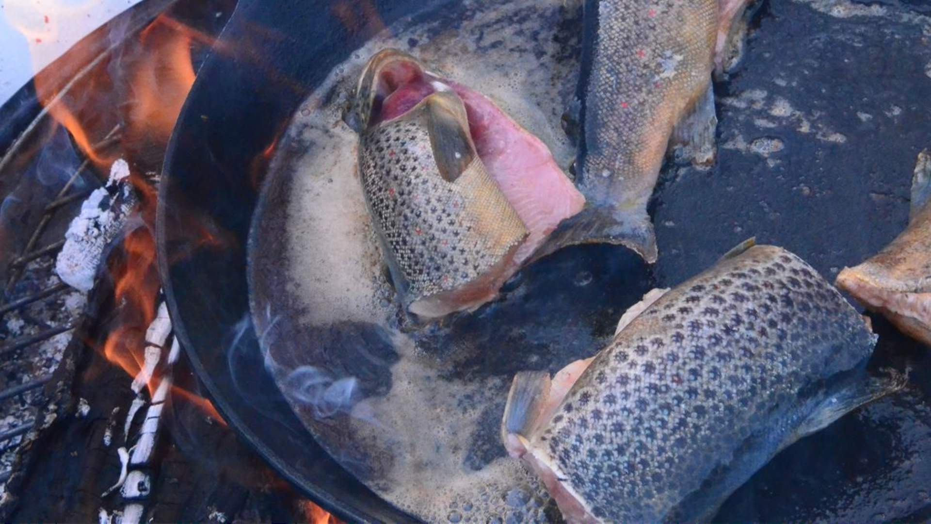 Ice Fishing and Snowshoeing