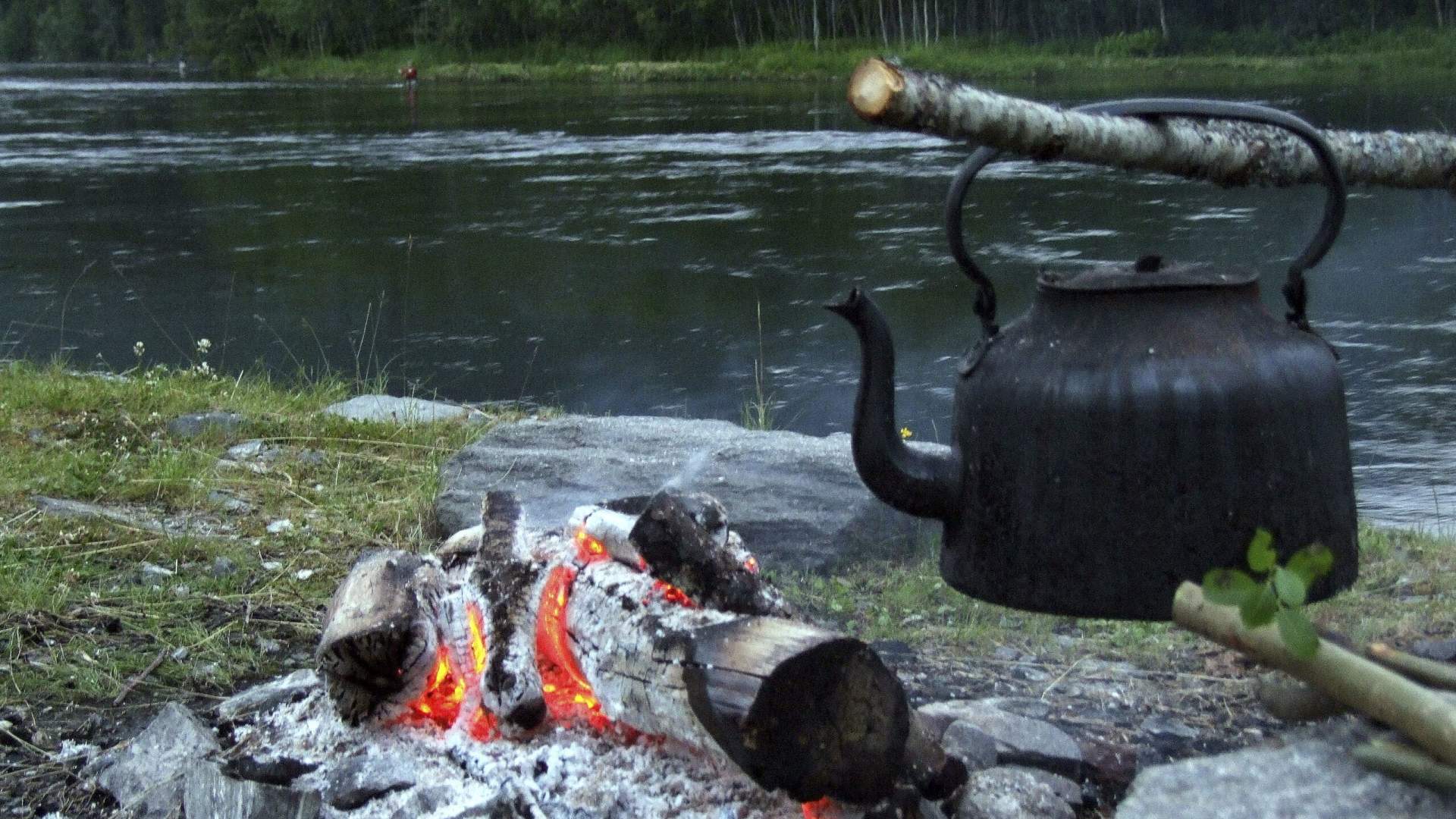 Salmon fishing at Korgen Camping