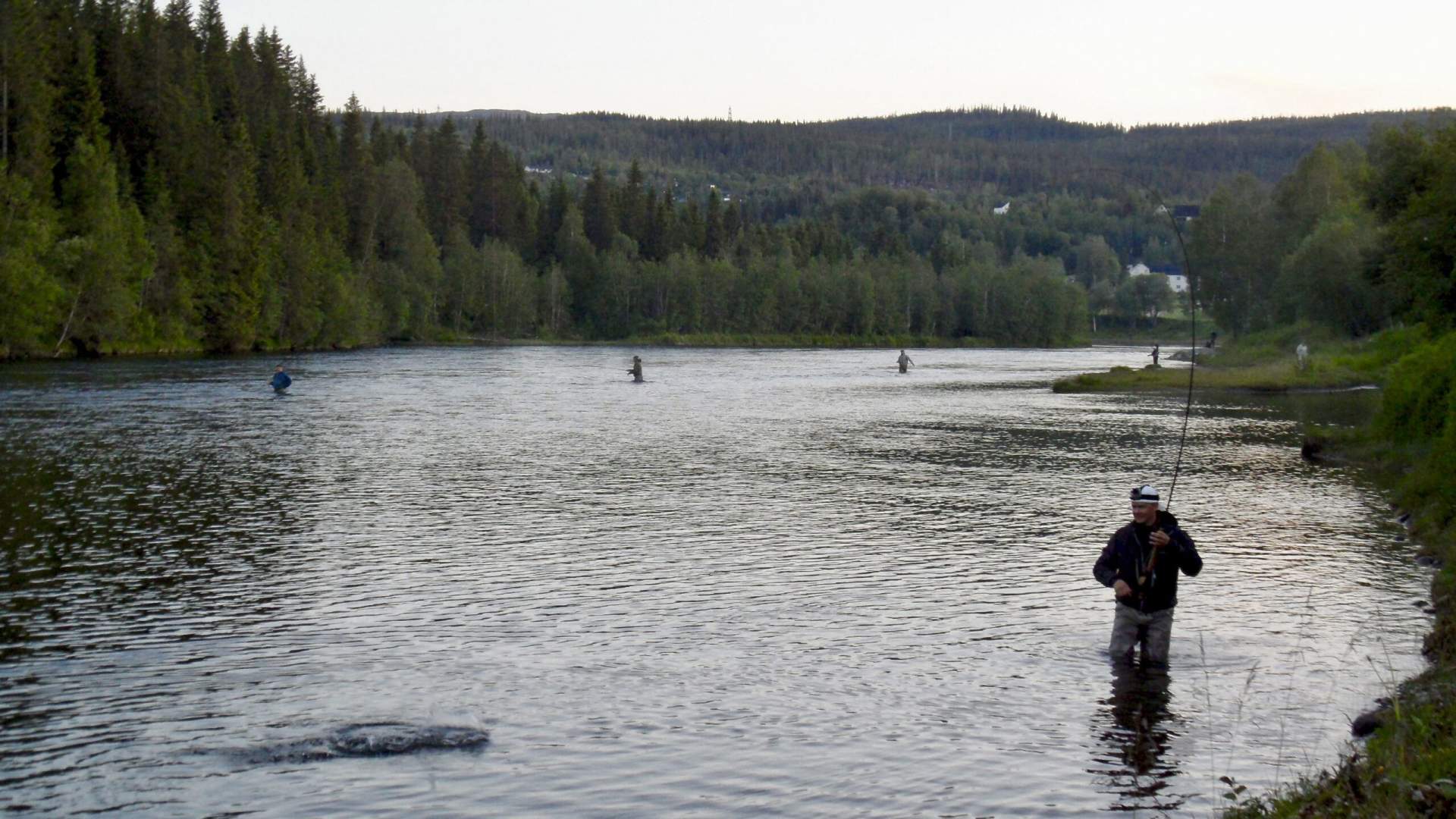 Salmon fishing at Korgen Camping