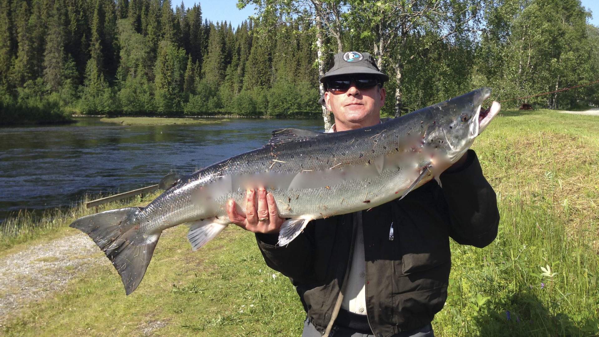 Salmon fishing at Korgen Camping