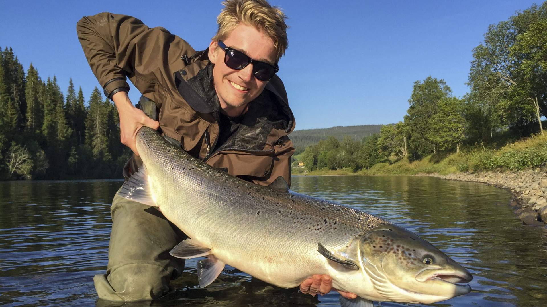 Salmon fishing at Korgen Camping
