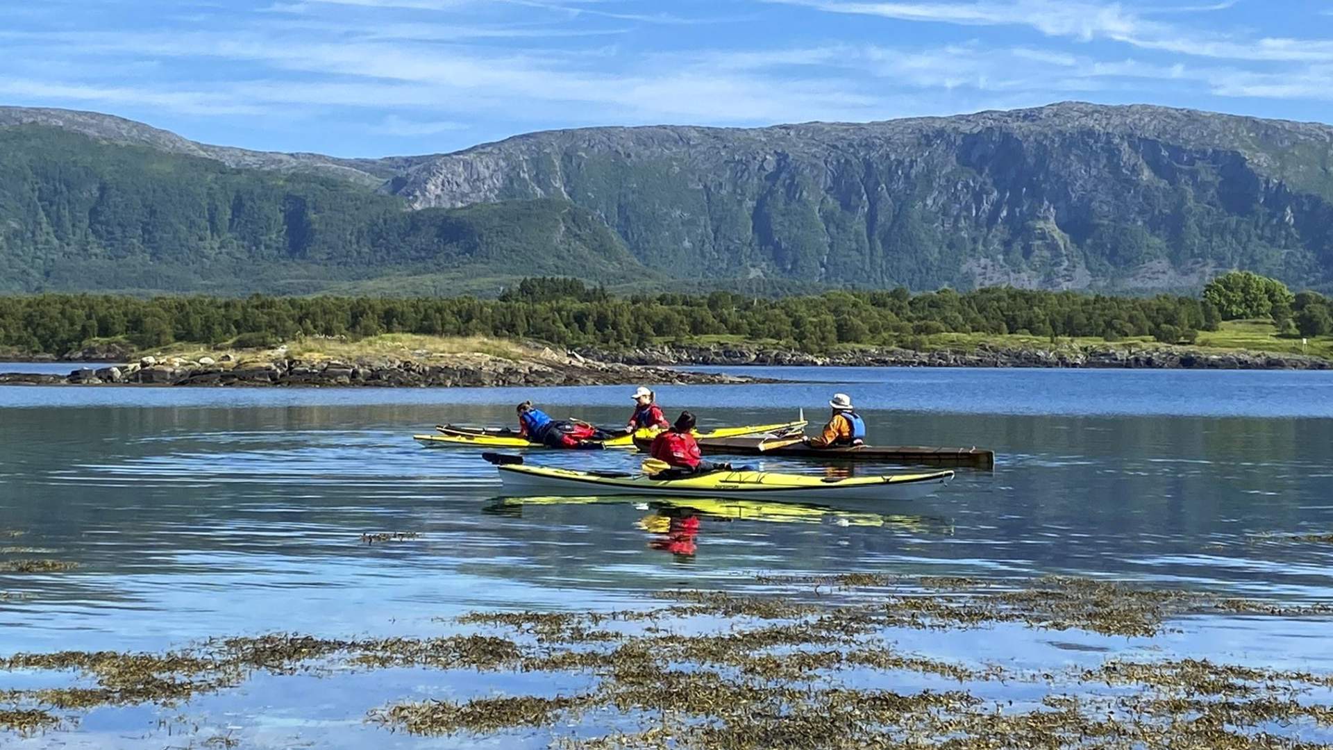 Brønnøysund Kajakk- courses and rental of kayaks, SUPs, and boats