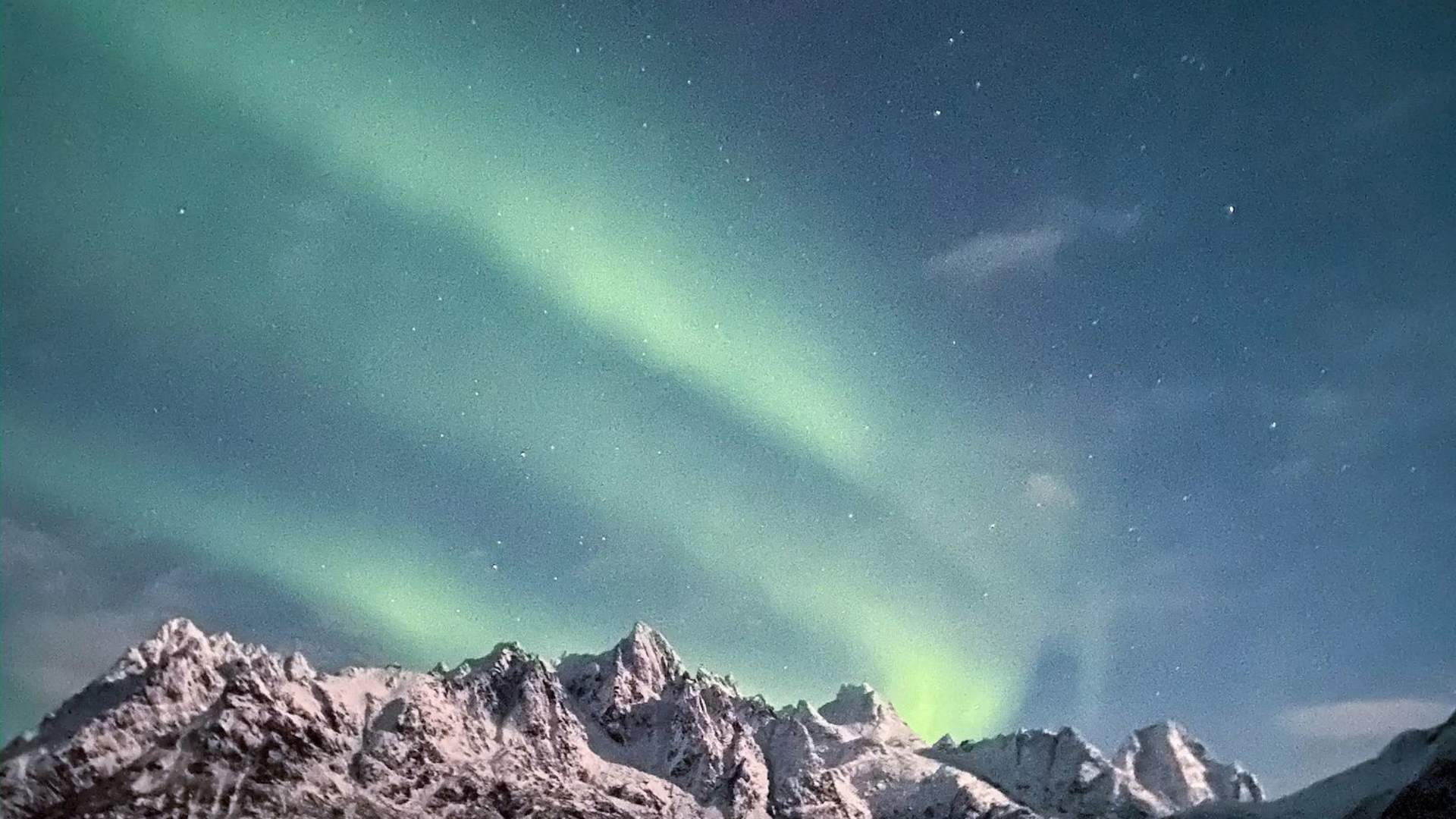 Full Lofoten Private Tour