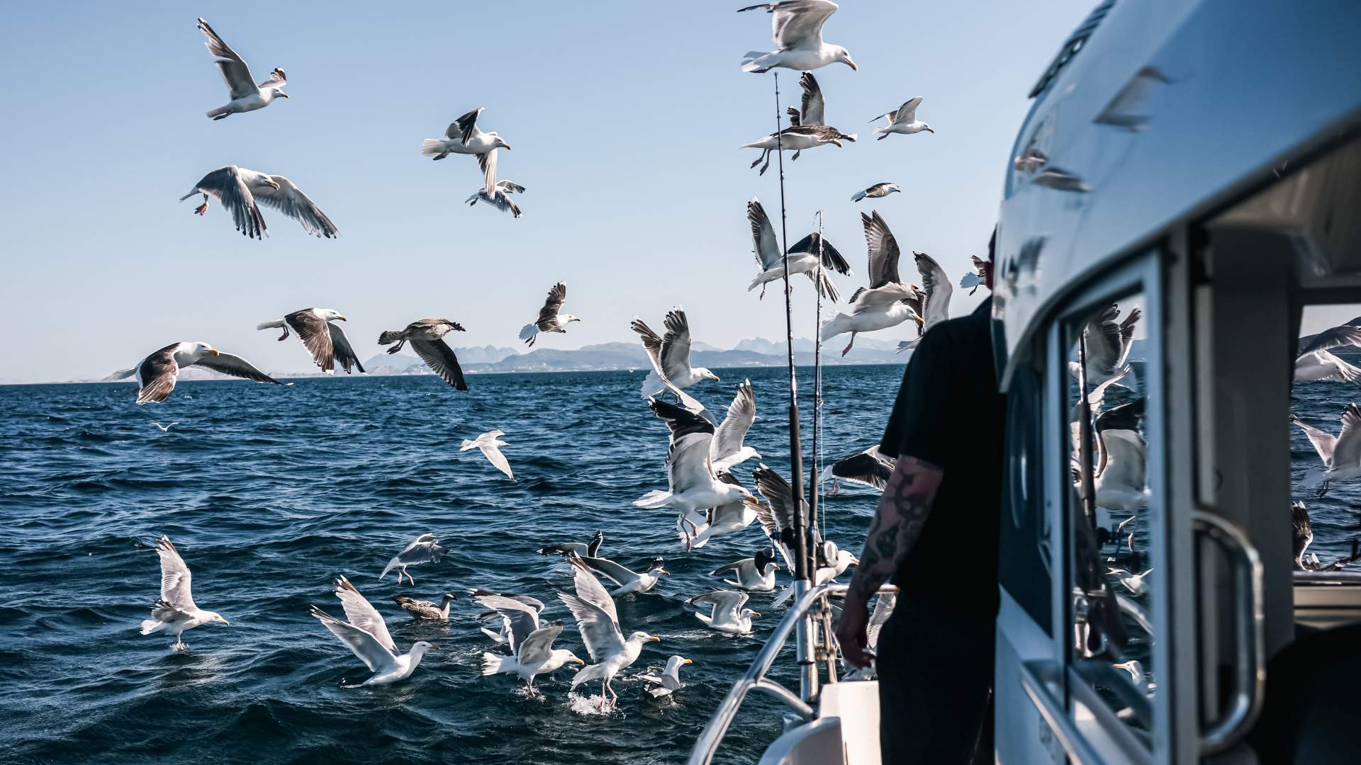 Deep sea fishing - join our fishing boat