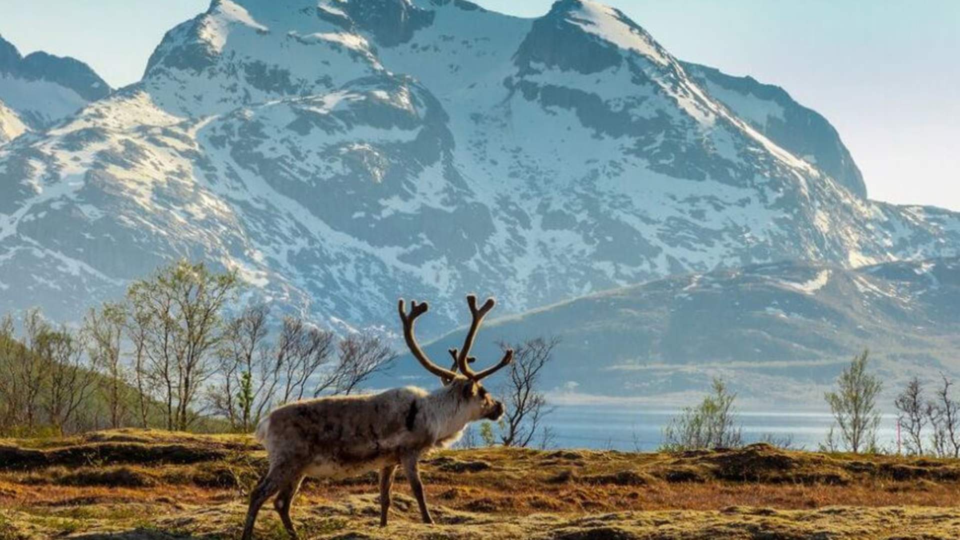 Moment Norway