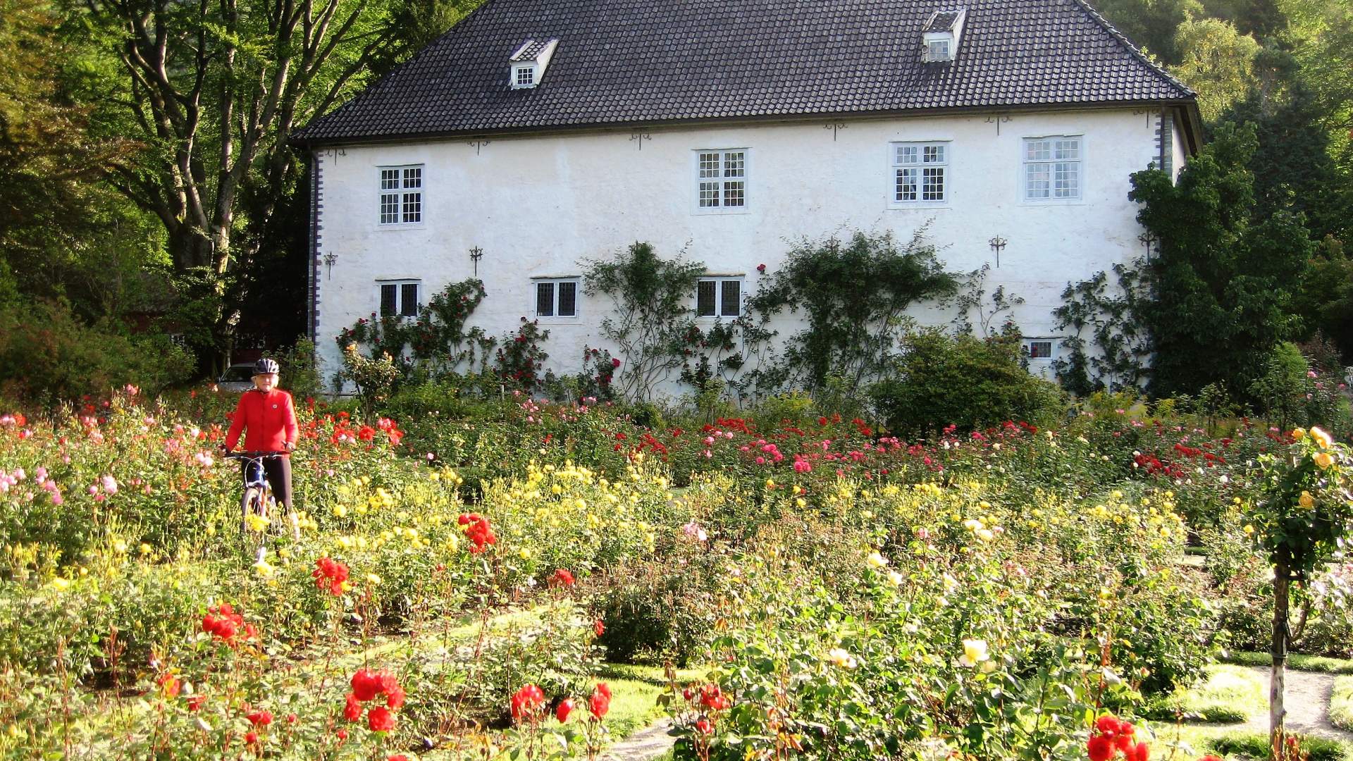 Baroniet i Rosendal