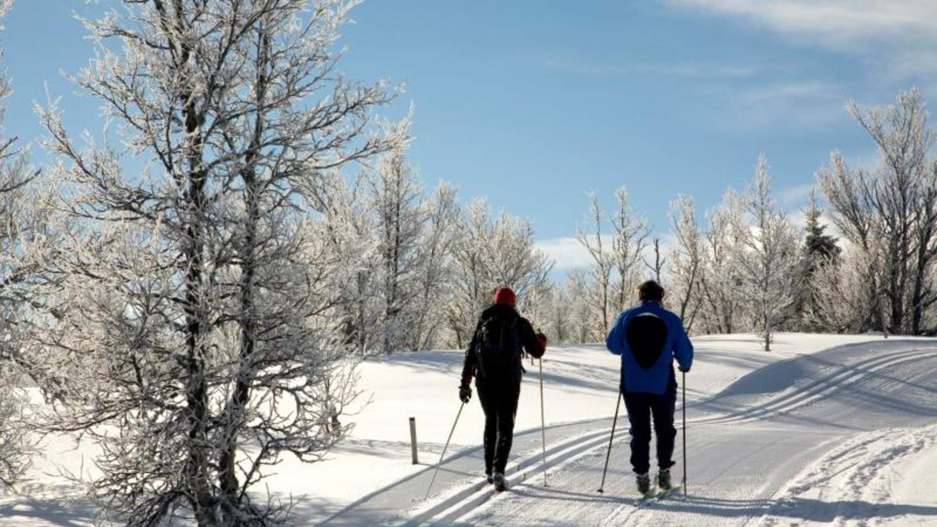 The Peer Gynt trail