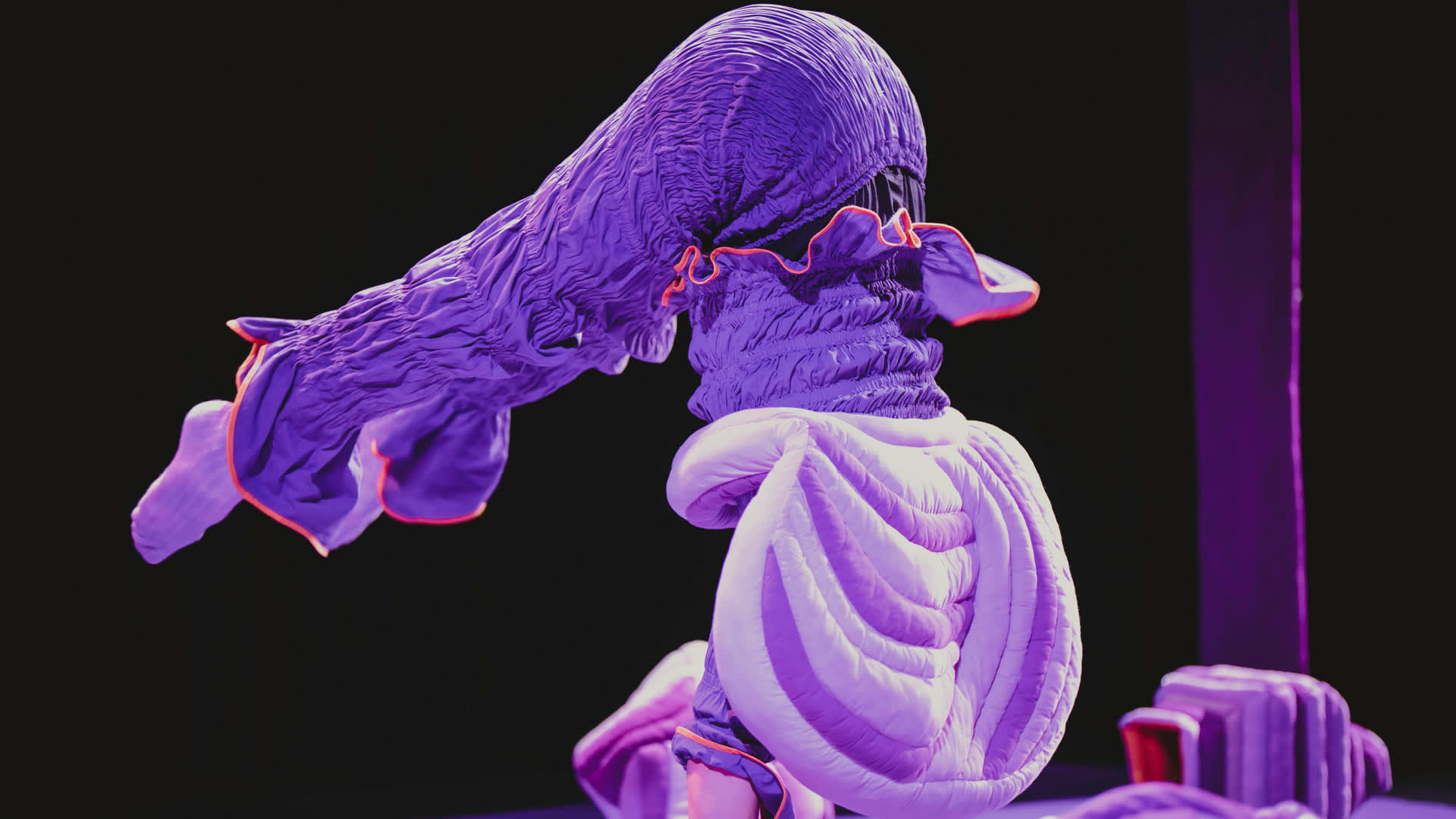 Himstregimser og andre duppeditter