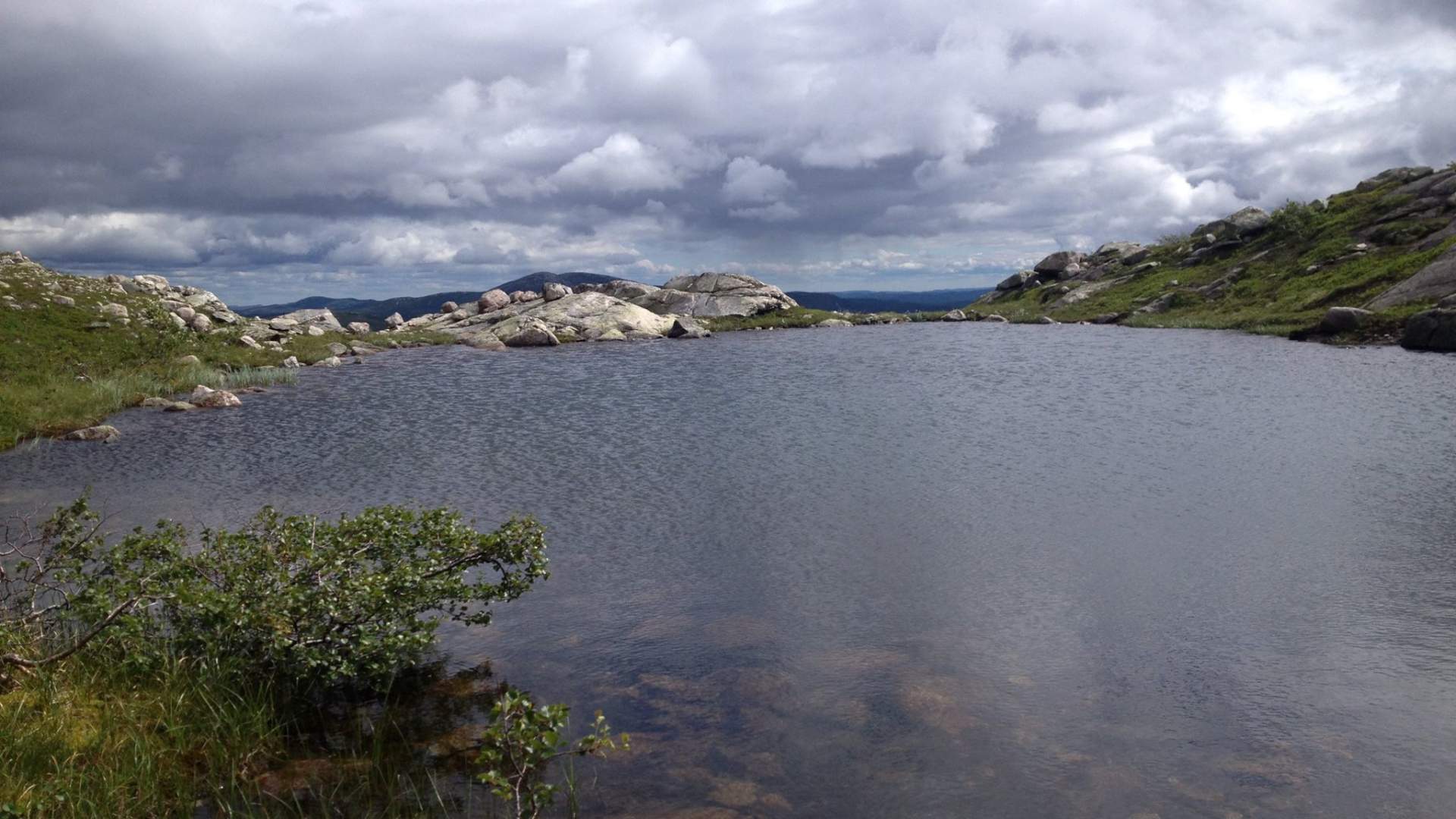 Berhomfjell