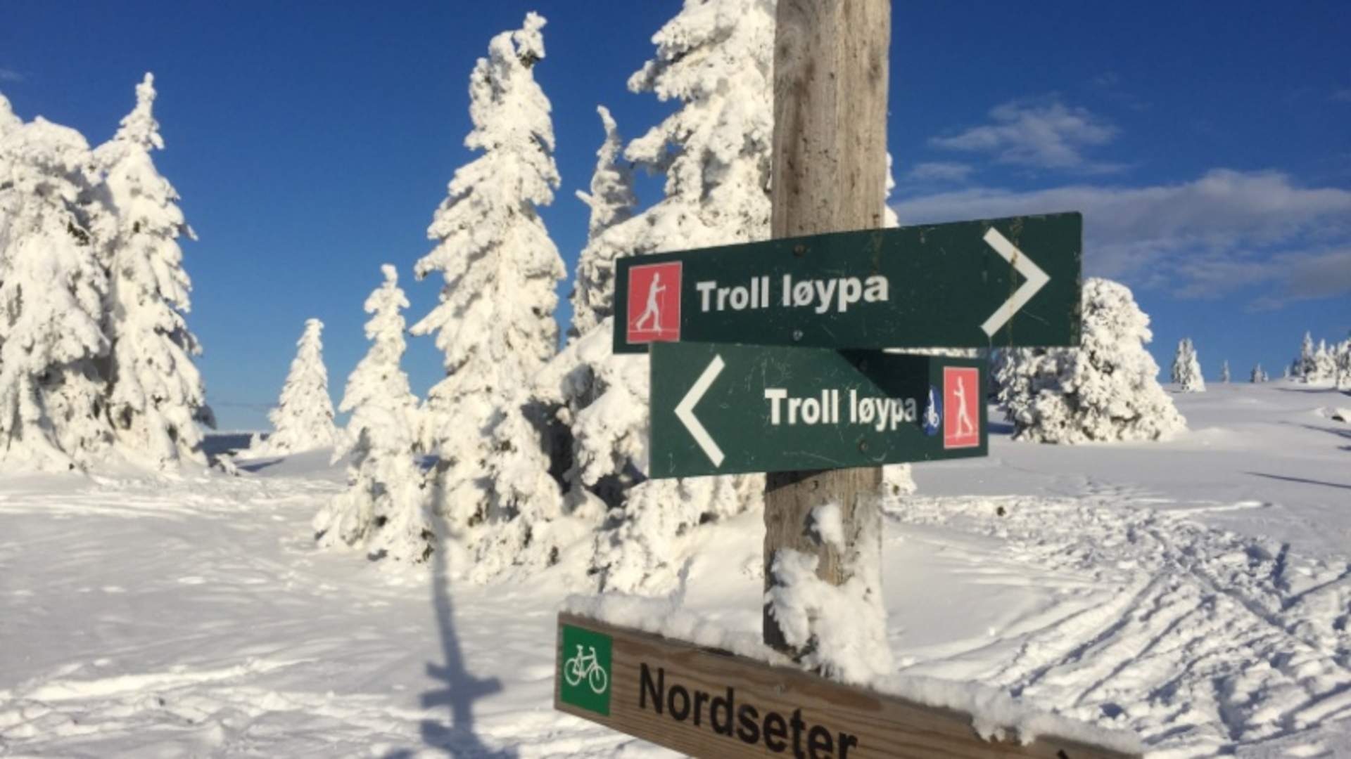 Well marked trail