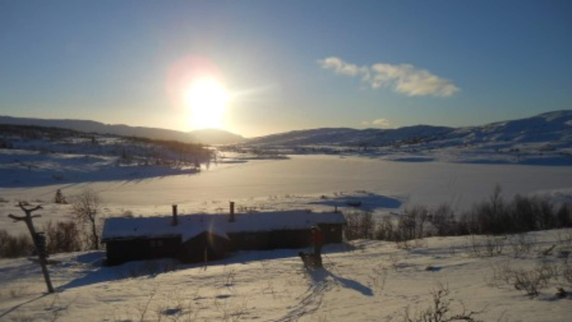 Lågvassbu