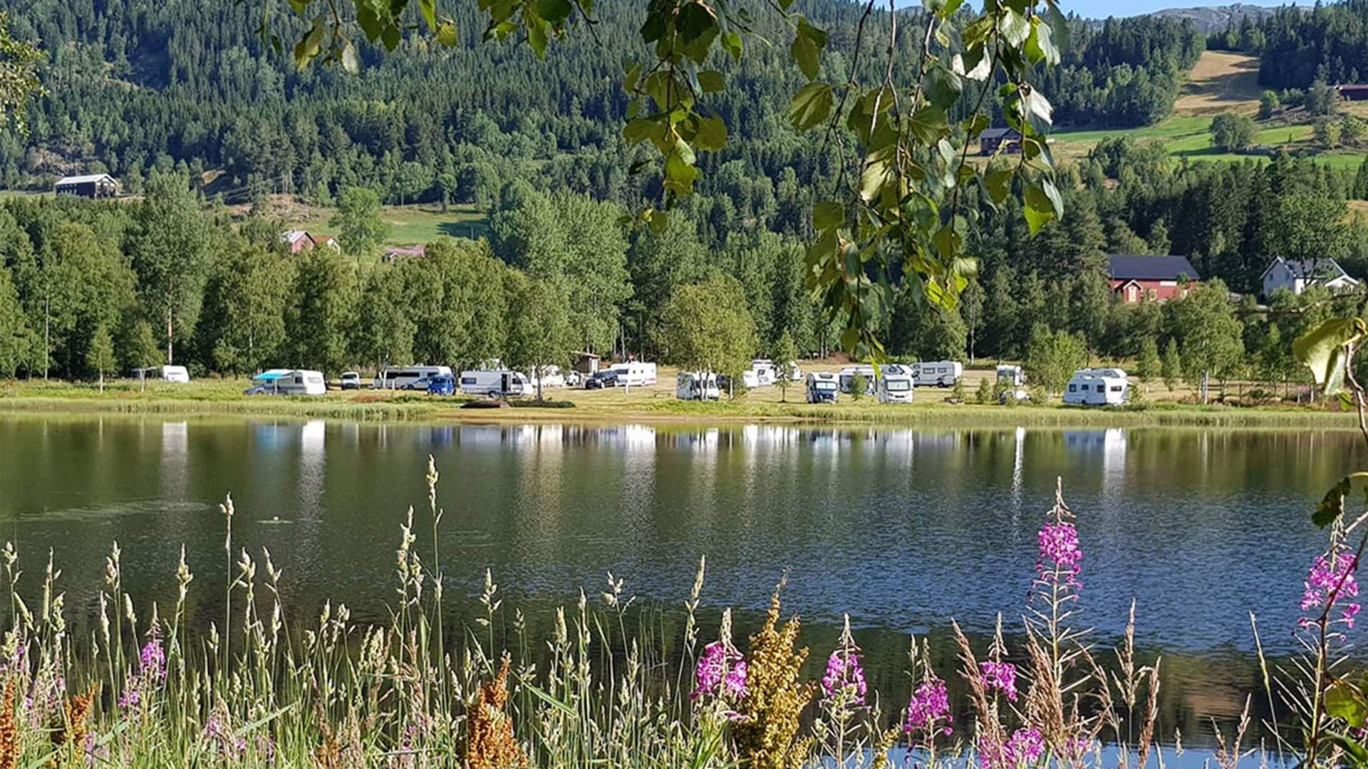 1-morgedal-camping-sett-fra-rasteplassen