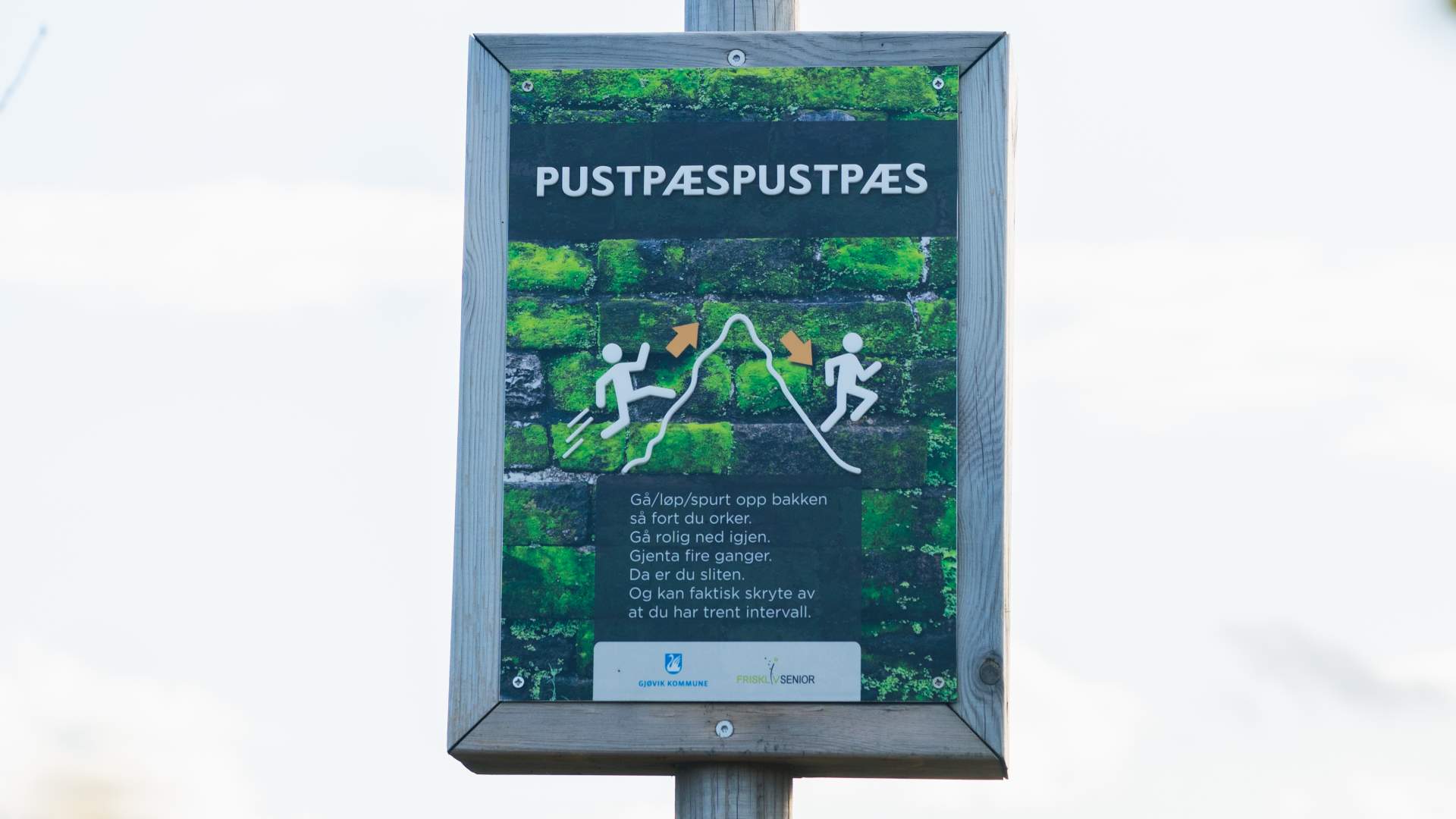 10_09_2025_Gjøvik Folkehelseløypa_Vind_Visitostnorge_Foto MPB-742069