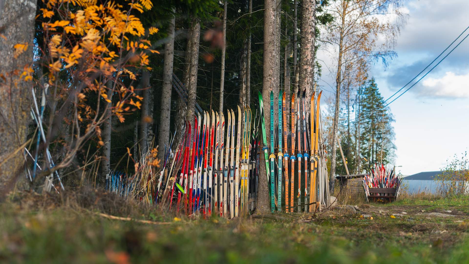 10_09_2025_Gjøvik Folkehelseløypa_Vind_Visitostnorge_Foto MPB-742089