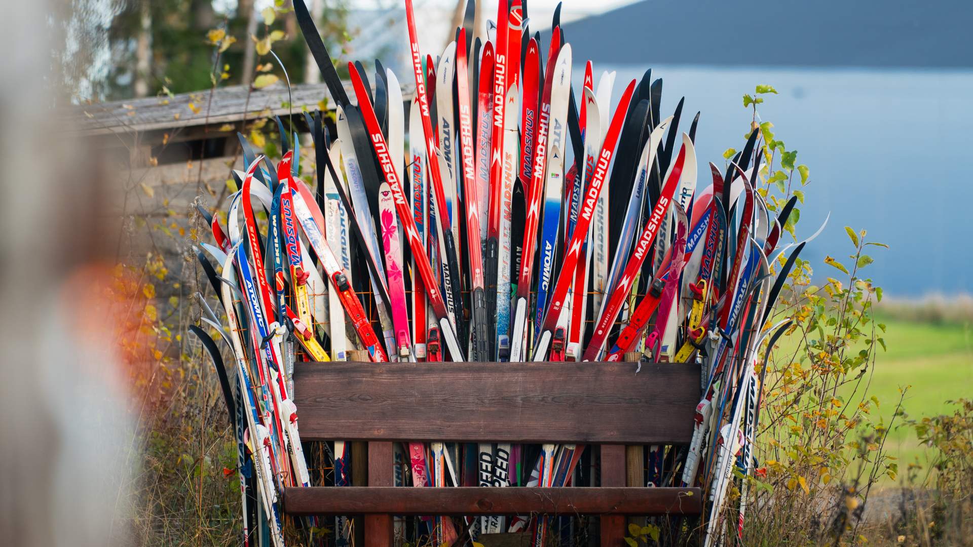 10_09_2025_Gjøvik Folkehelseløypa_Vind_Visitostnorge_Foto MPB-742093