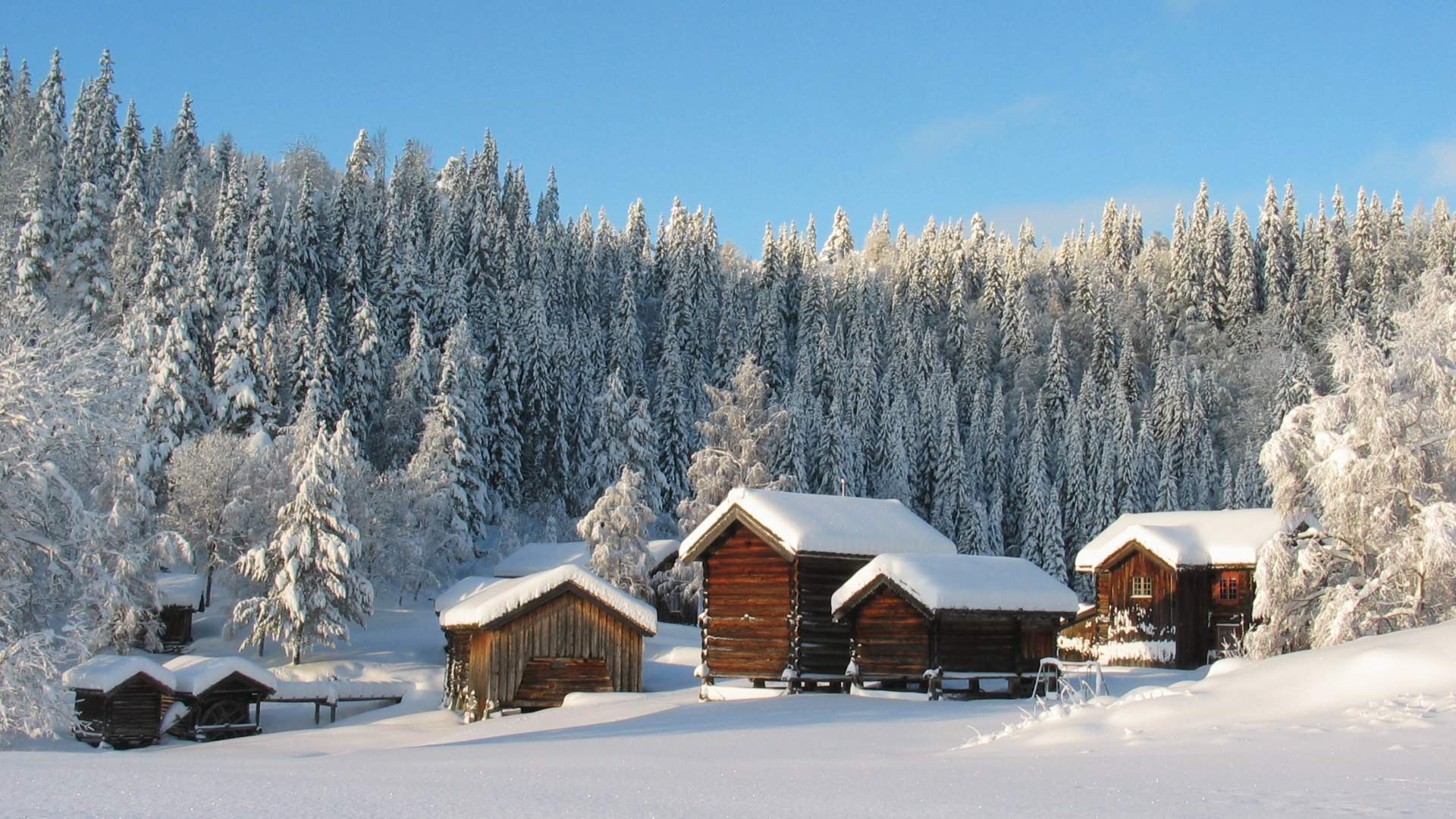 Vindlaus