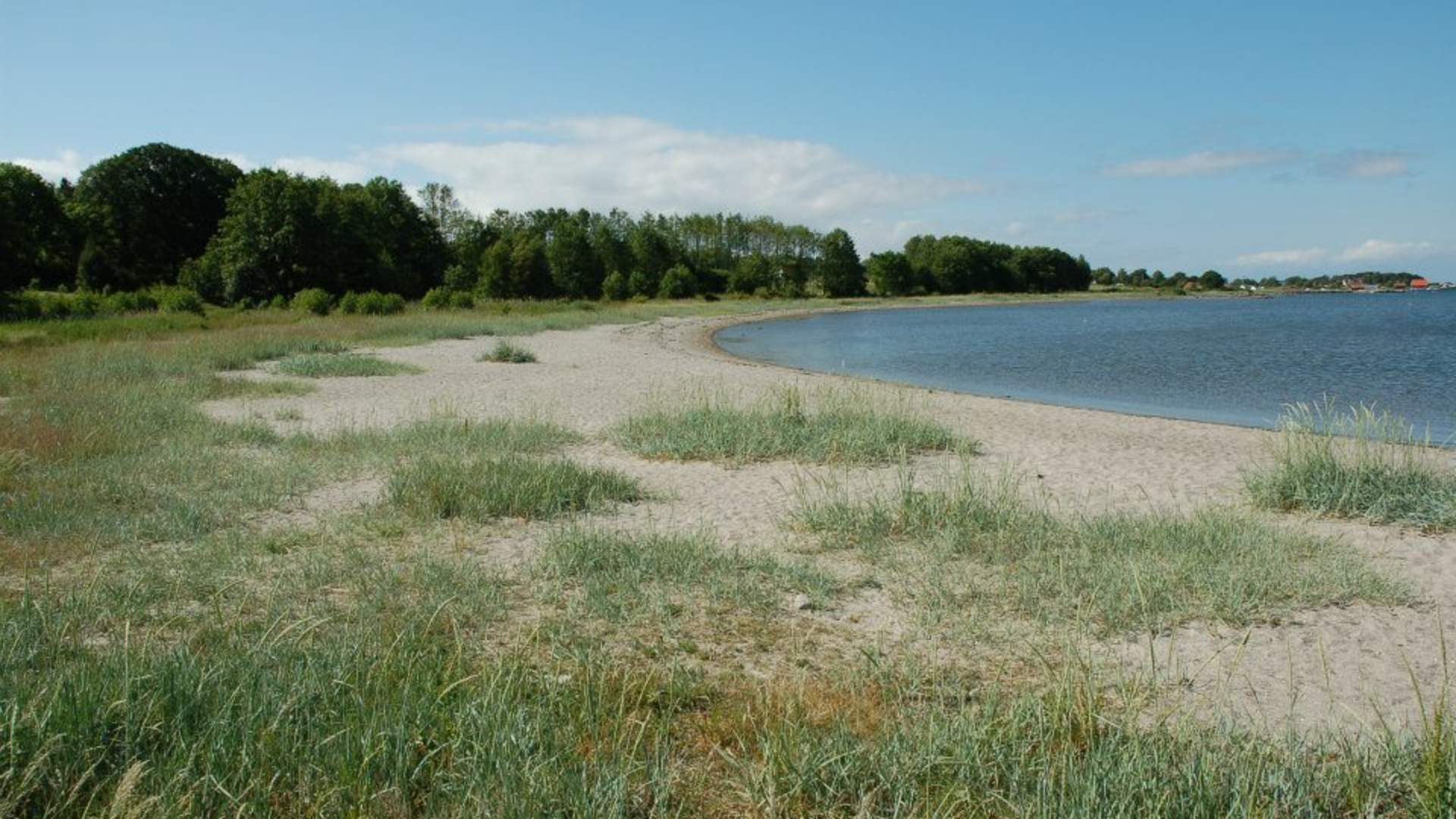 Strand ved Tårnbrygga