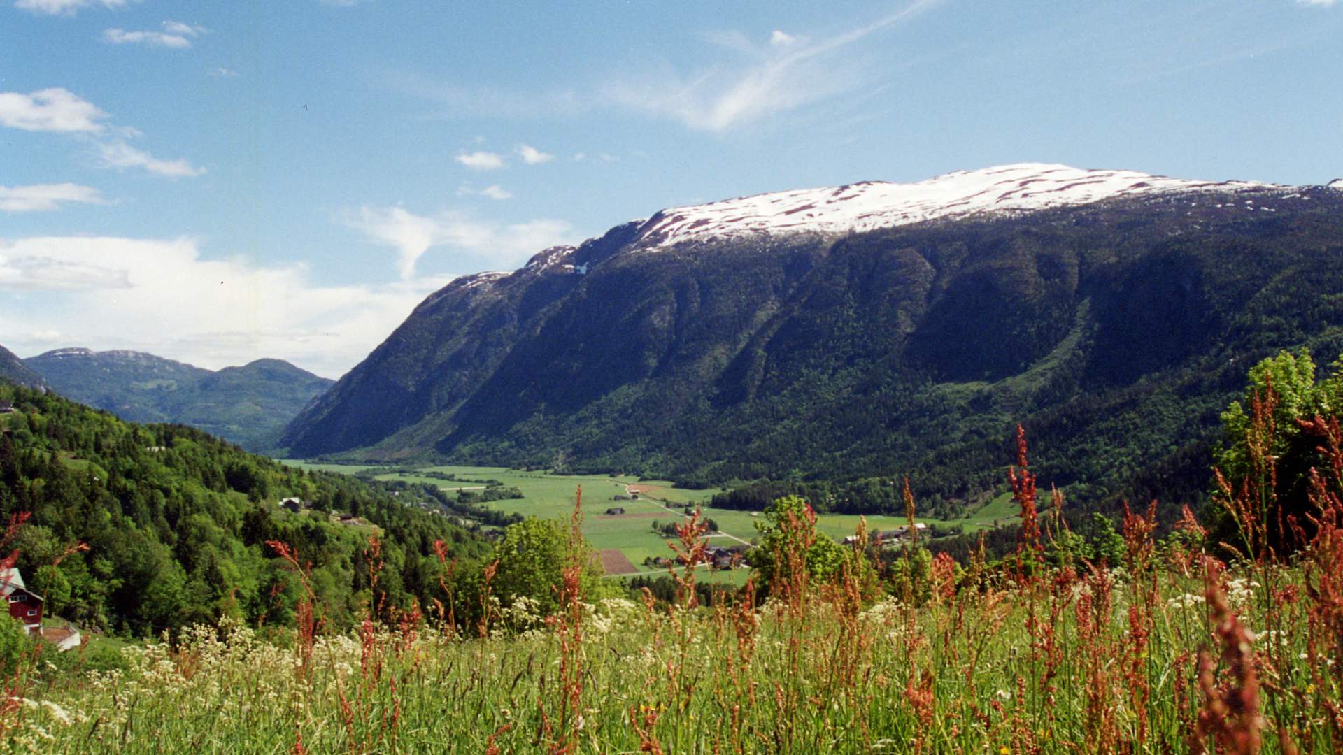 Flatdal og skorve