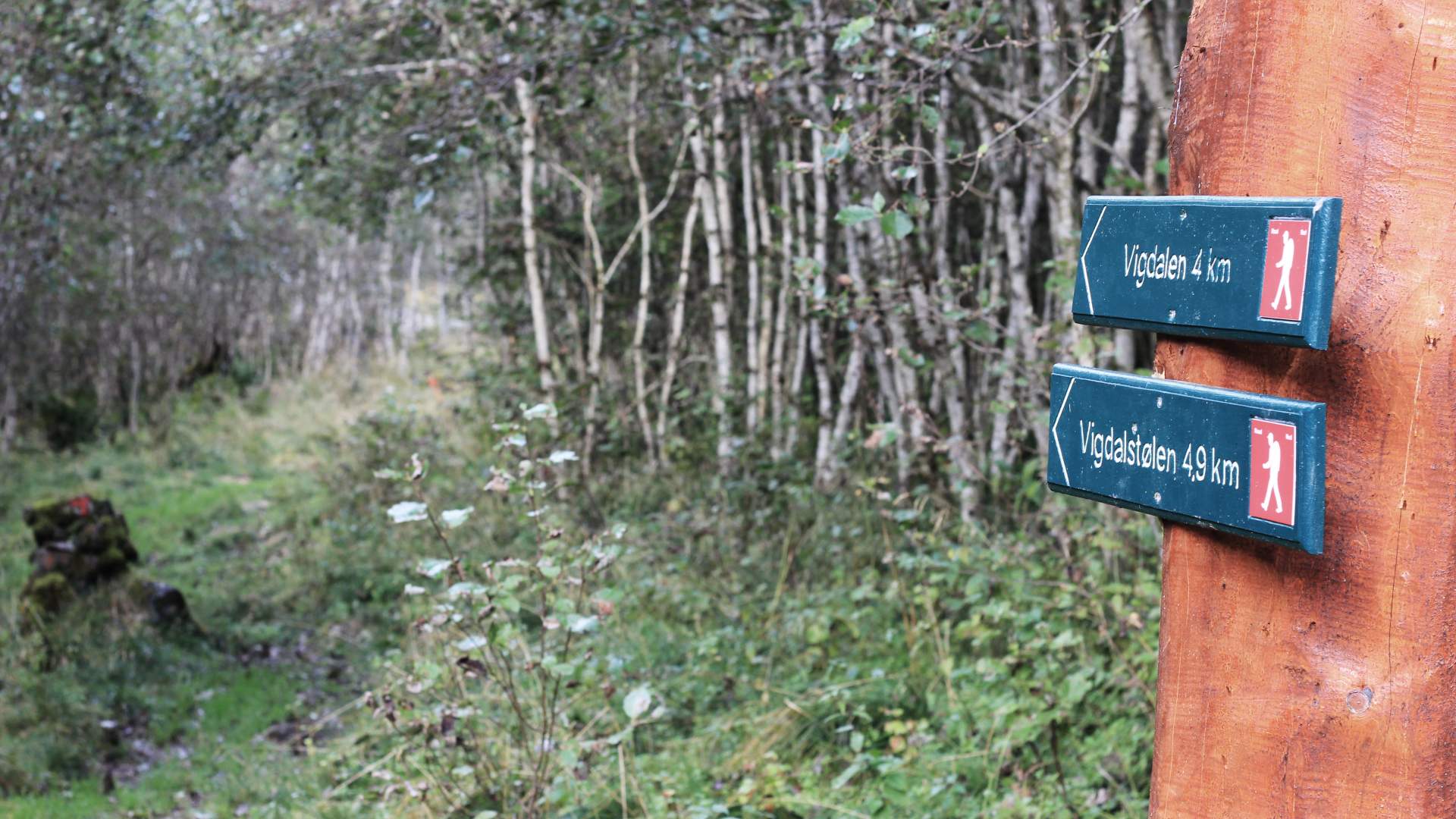 Dalsdalen - Vigdalstøl hiking