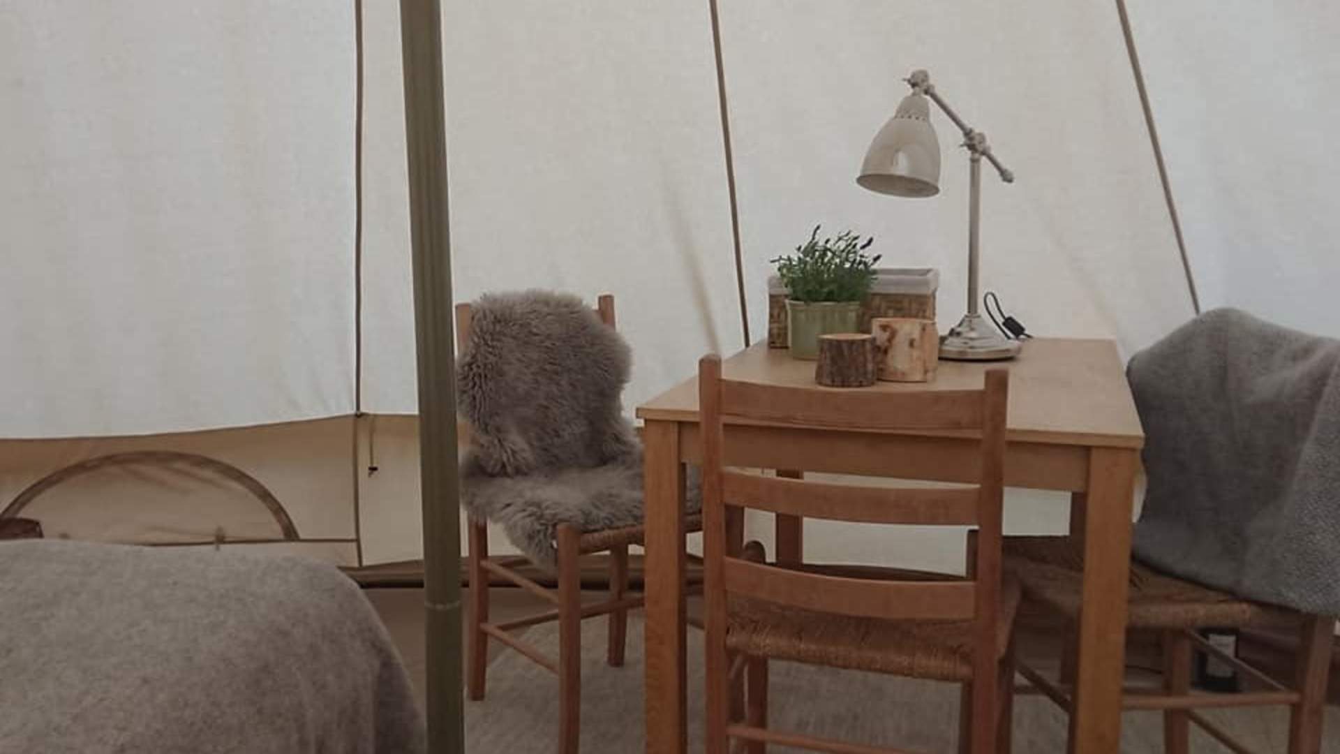 199716182_4200333333343024_2045039549960968305_n