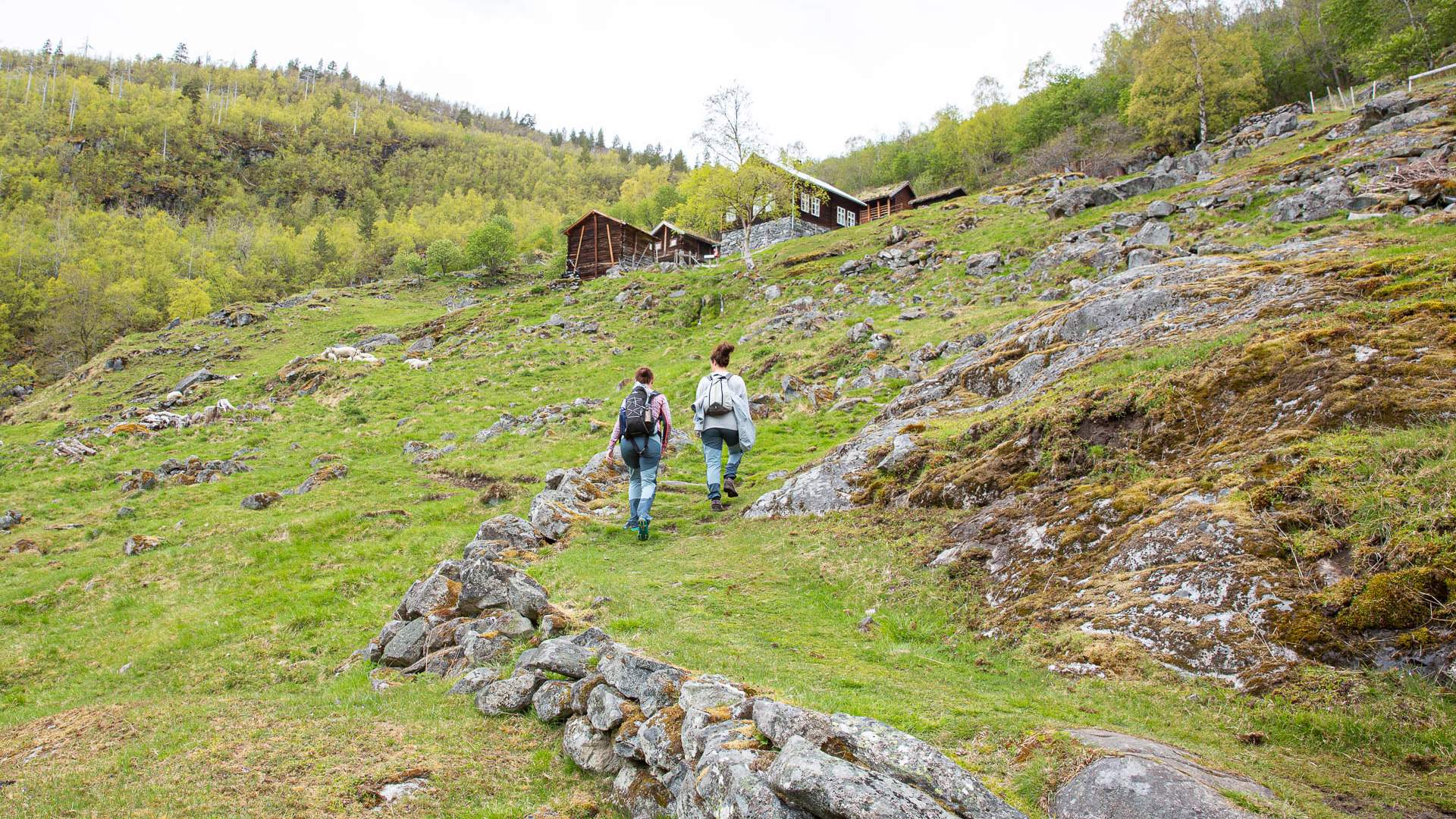 Avdalen Gard, Årdal