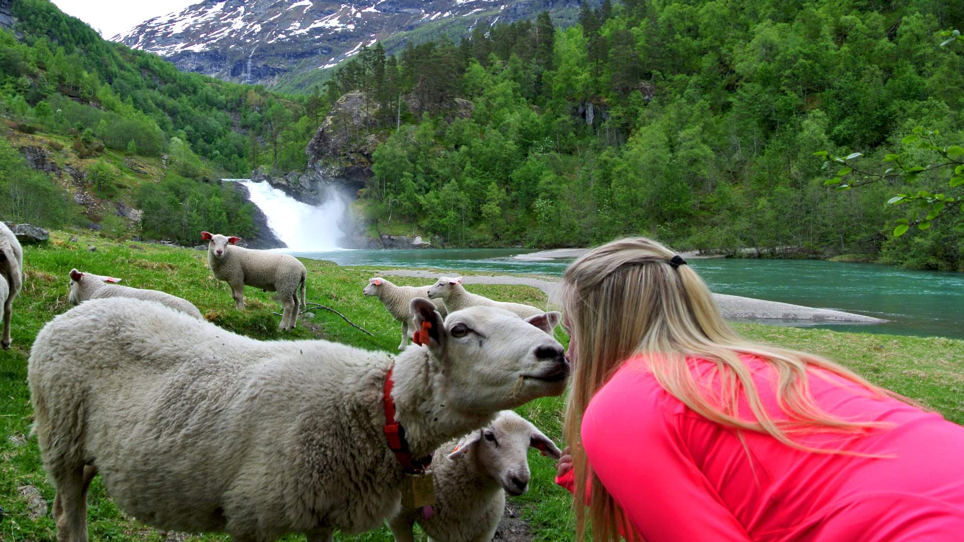 Adventure Tours - Fjell, fiske & sykkel